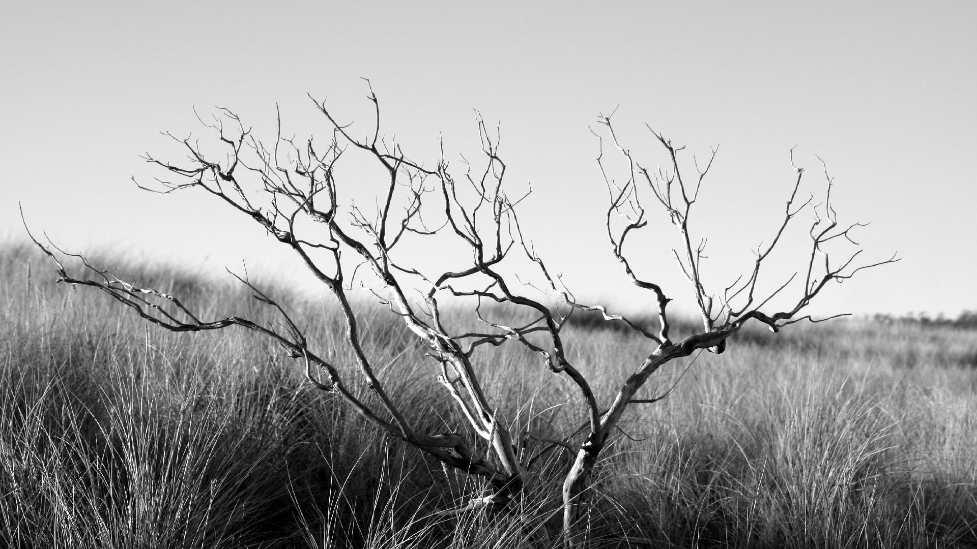 1920x1080 HD Nature Wallpaper Collection 3