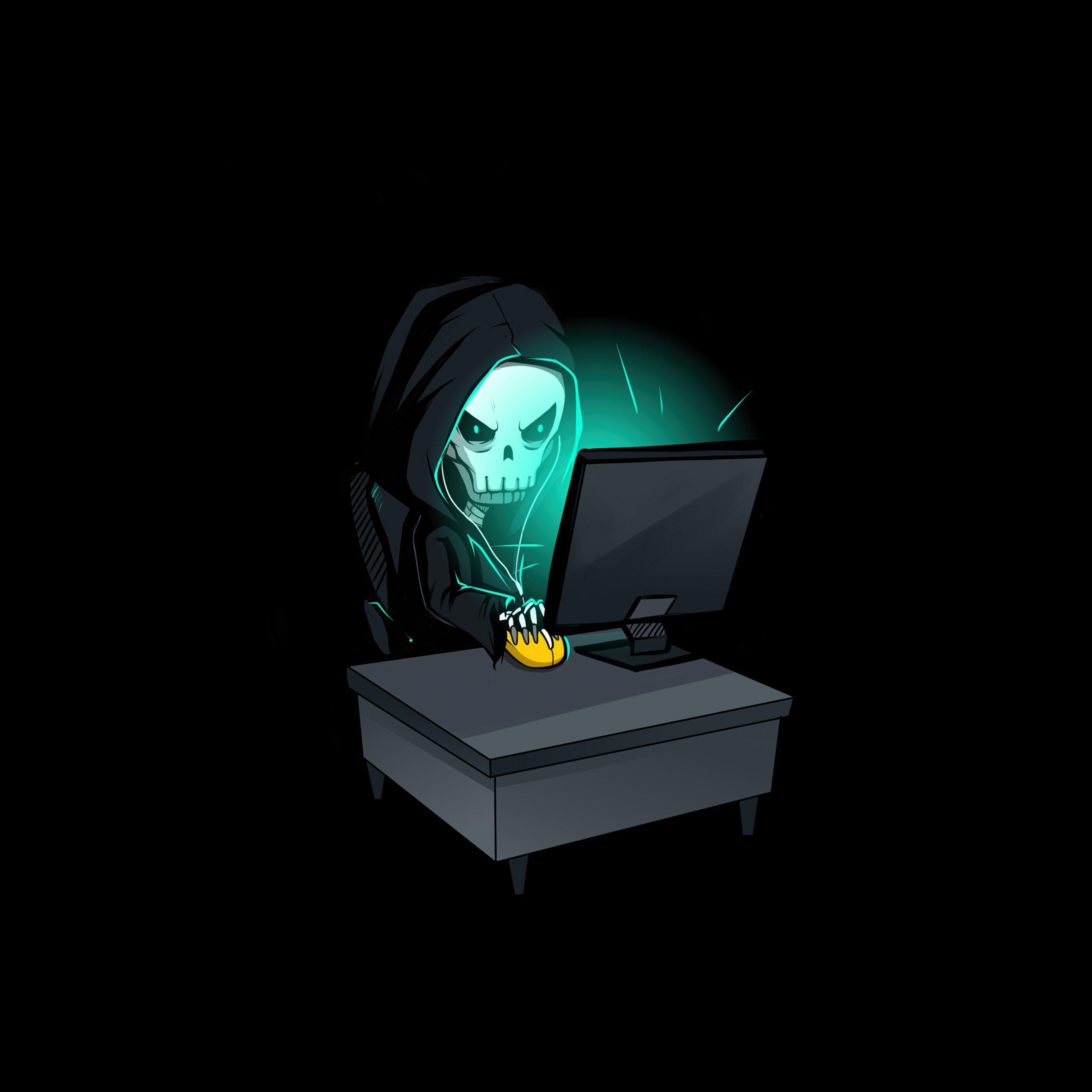 Hacker Skull Wallpapers - Top Free Hacker Skull Backgrounds ...