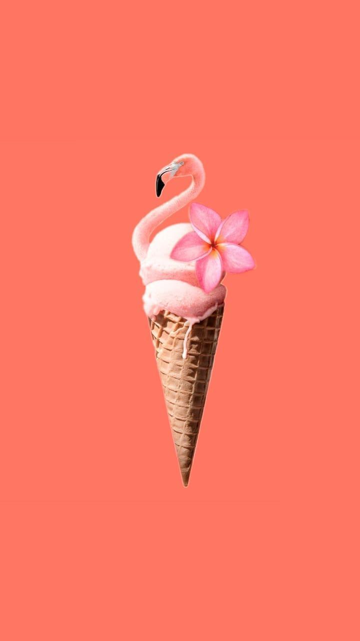 720x1280 Simplicity in aesthetic 11 (Pantone special, Living Coral)