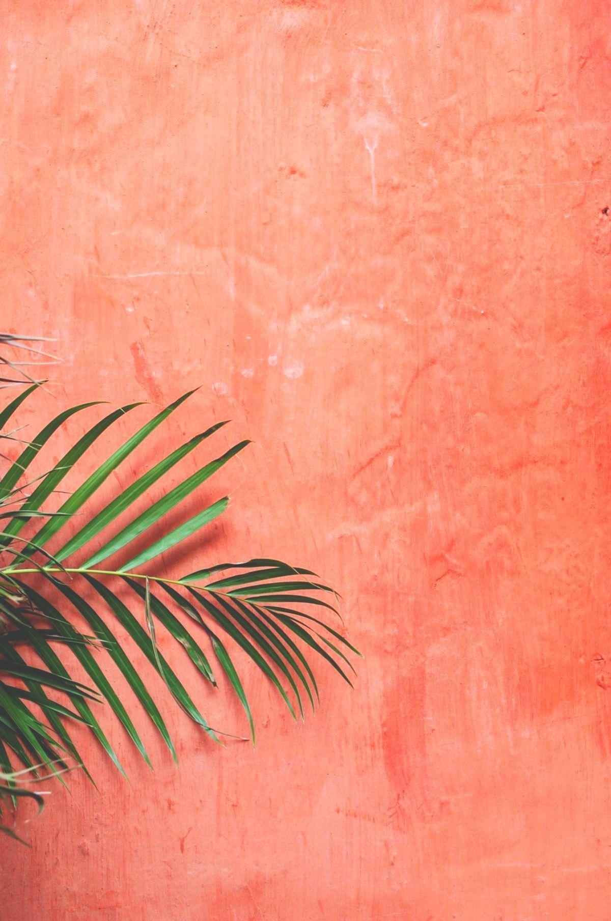 1200x1809 Aesthetic Peachy Wallpaper