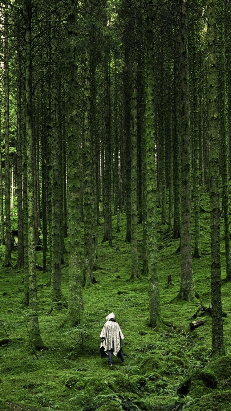 750x1334 4k Phone Forest Wallpaper