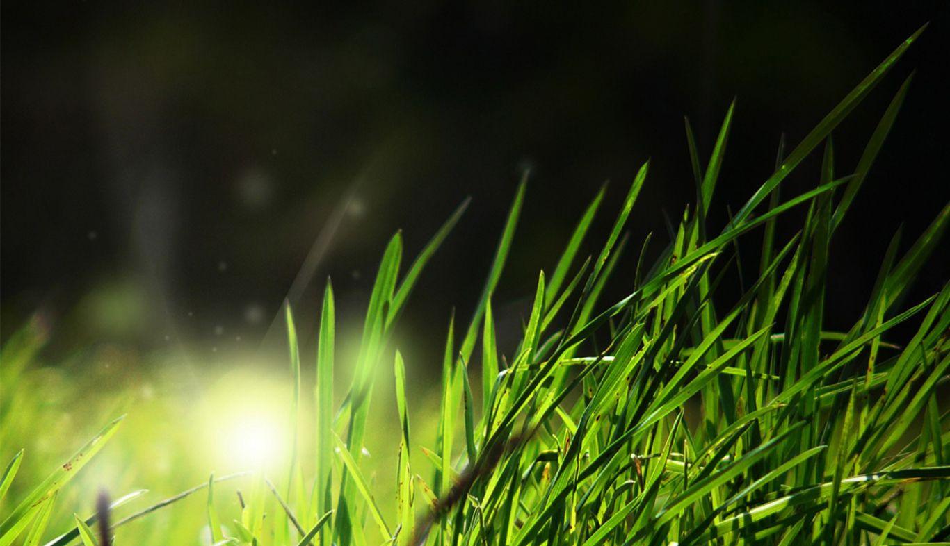 1366x786 Wallpaper Dark Nature Agyness X HD High Definition 1366x786