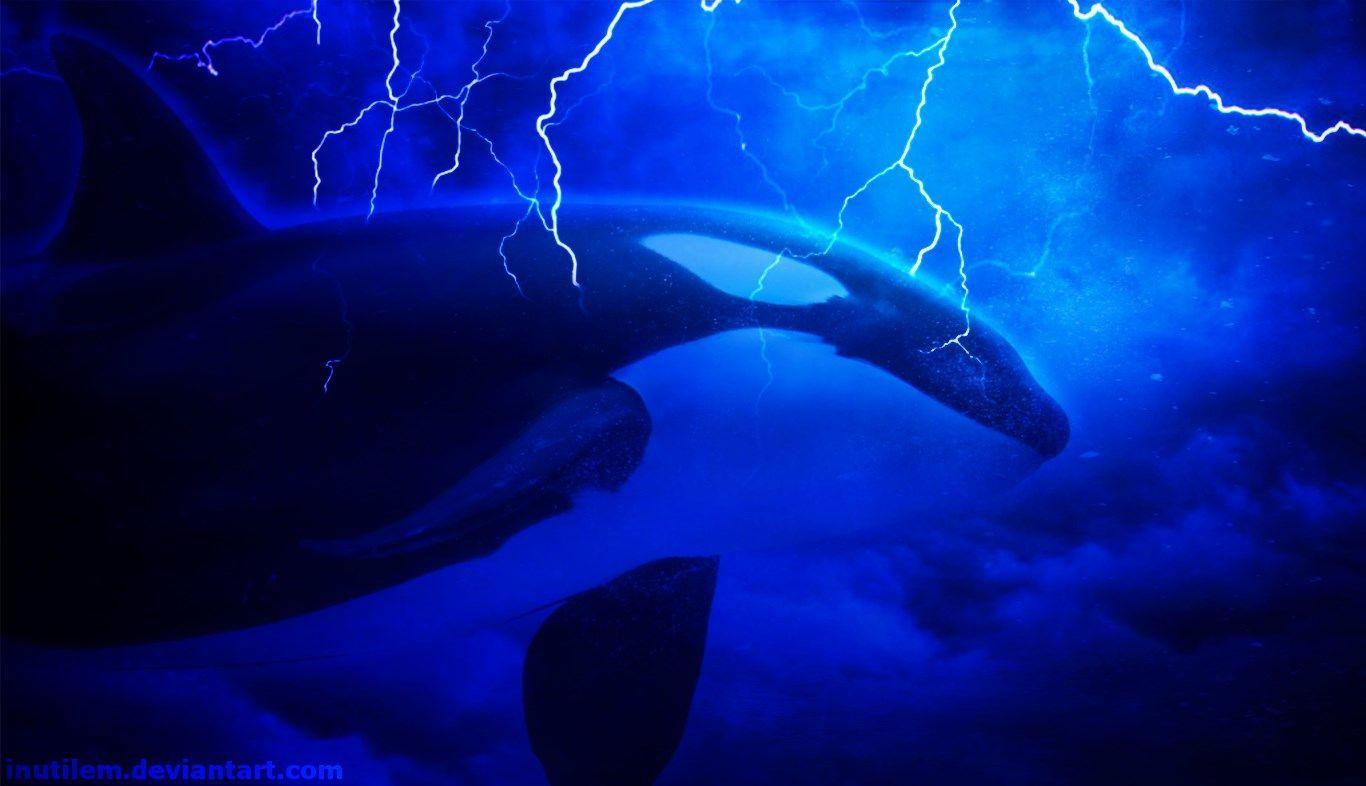 1366x786 animal wallpaper background hd, 1366x786 (105 kB). Animal wallpaper, Animals, HD background