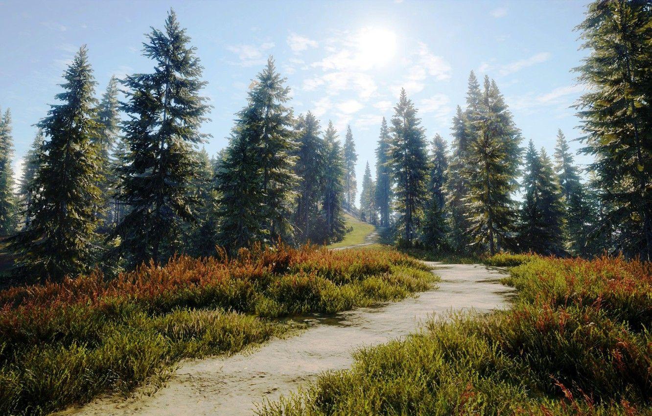 1332x850 Wallpaper Nature, Road, Path, Trees, Forest, Art, Hunter, theHunter: Call of the Wild image for desktop, section игры