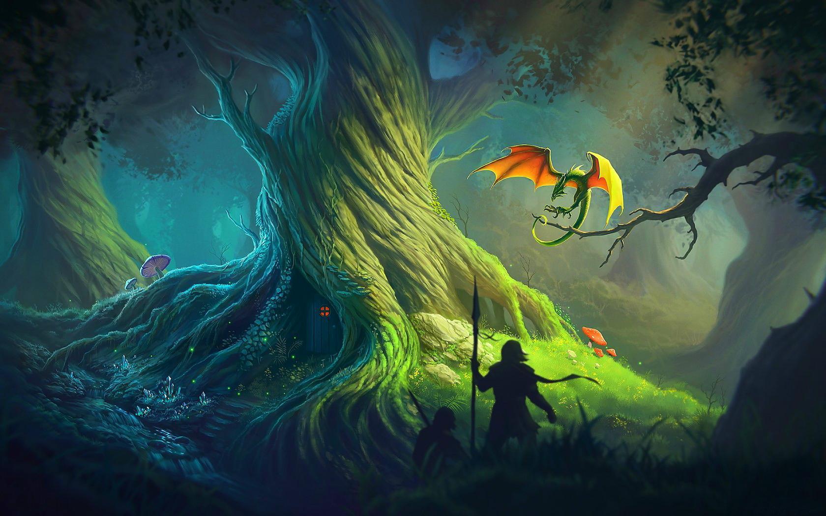 1680x1050 Wild forest HD desktop wallpaper : Widescreen : High Definition