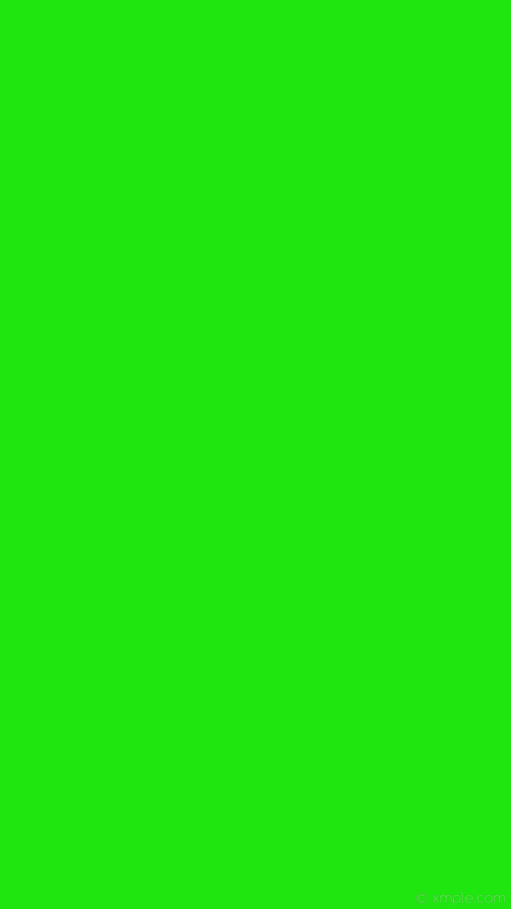 2160x3840 Â Green Wallpaper HD HD Wallpaper