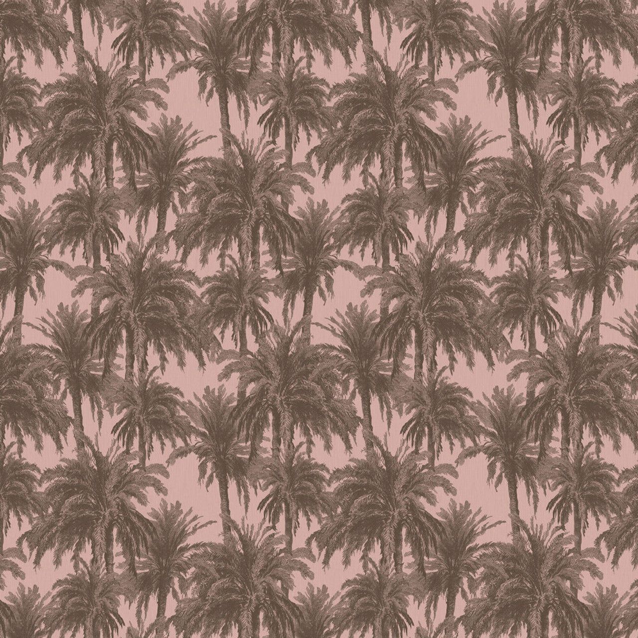 1280x1280 Treetops Eden Wallpaper
