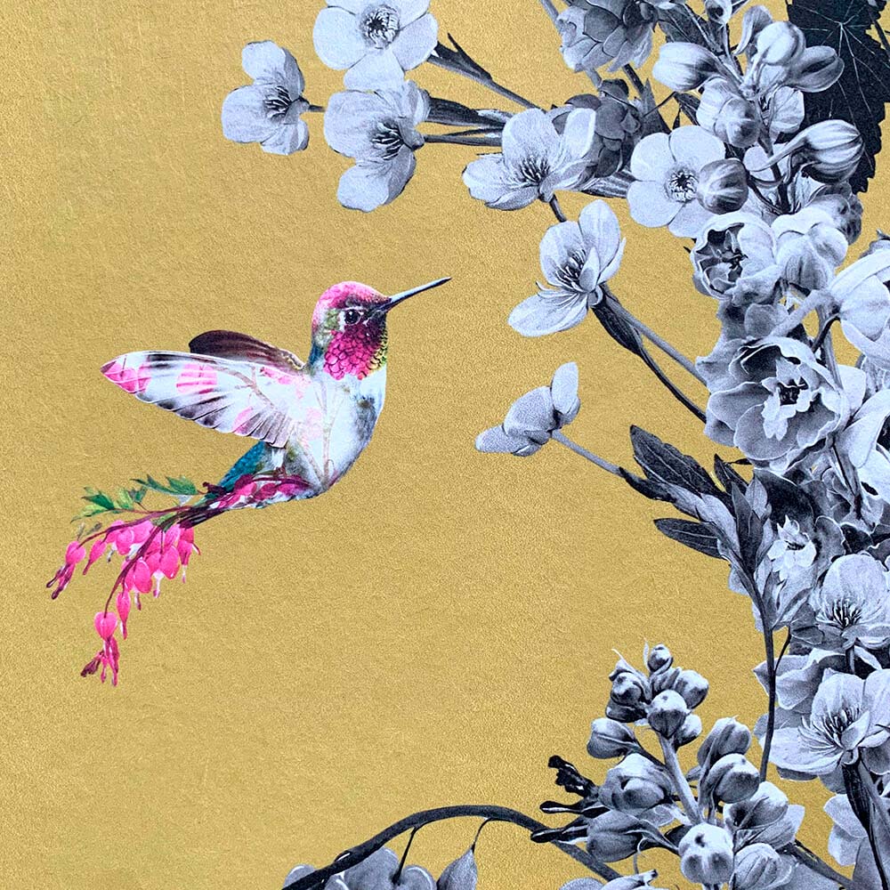 1000x1000 Hummingbird Black & White Mustard Wallpaper Sample by Lola Design– Lola Design Ltd