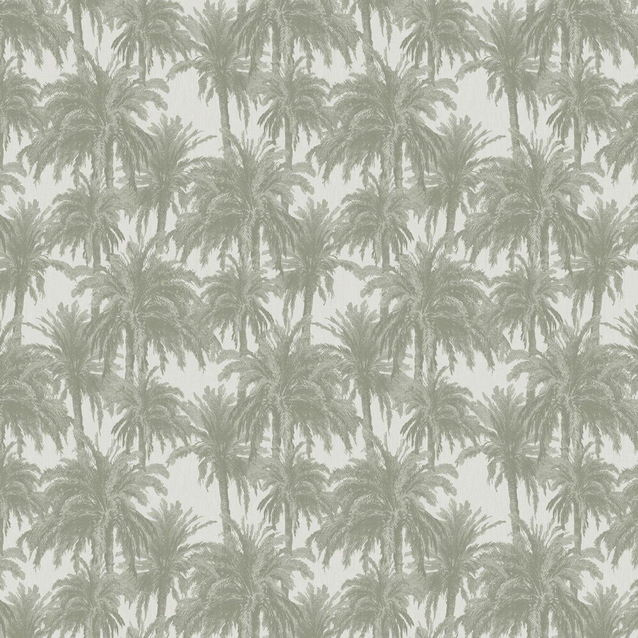 1280x1280 Treetops Eden Wallpaper
