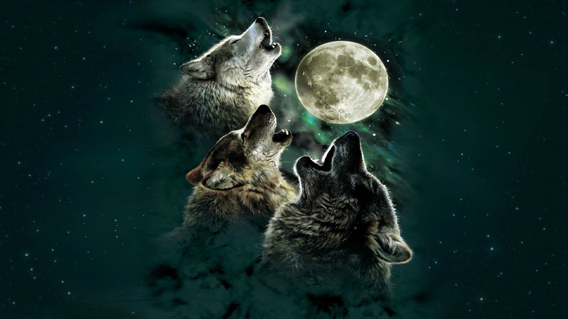 1920x1080 Wallpaper moon, animal, wolf, digital art, animal themes, group of animals for mobile and desktop, section ии арт, resolution 1920x1080