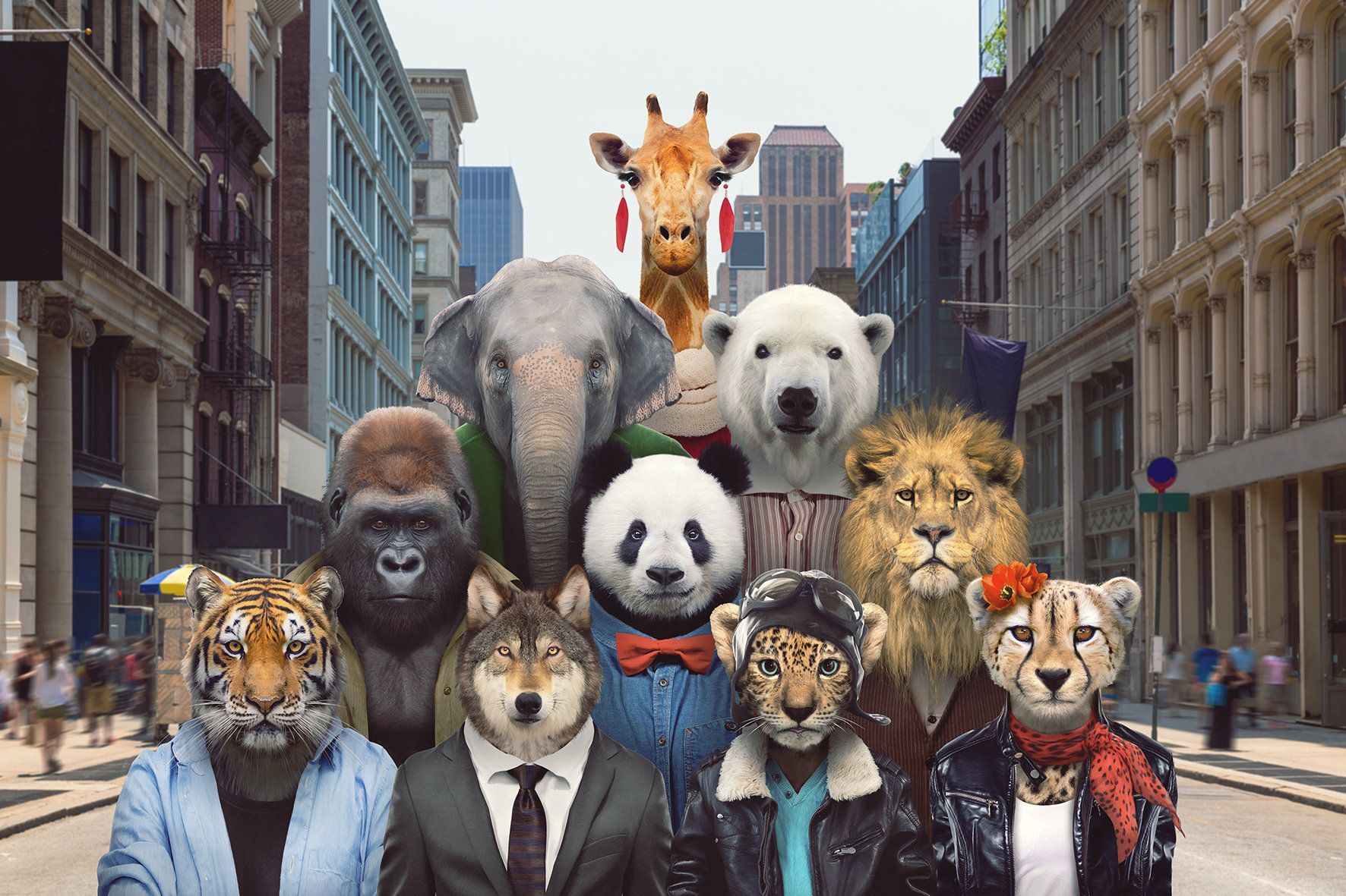 1772x1181 Animal image used in marketing may skew public perception about their survival risks