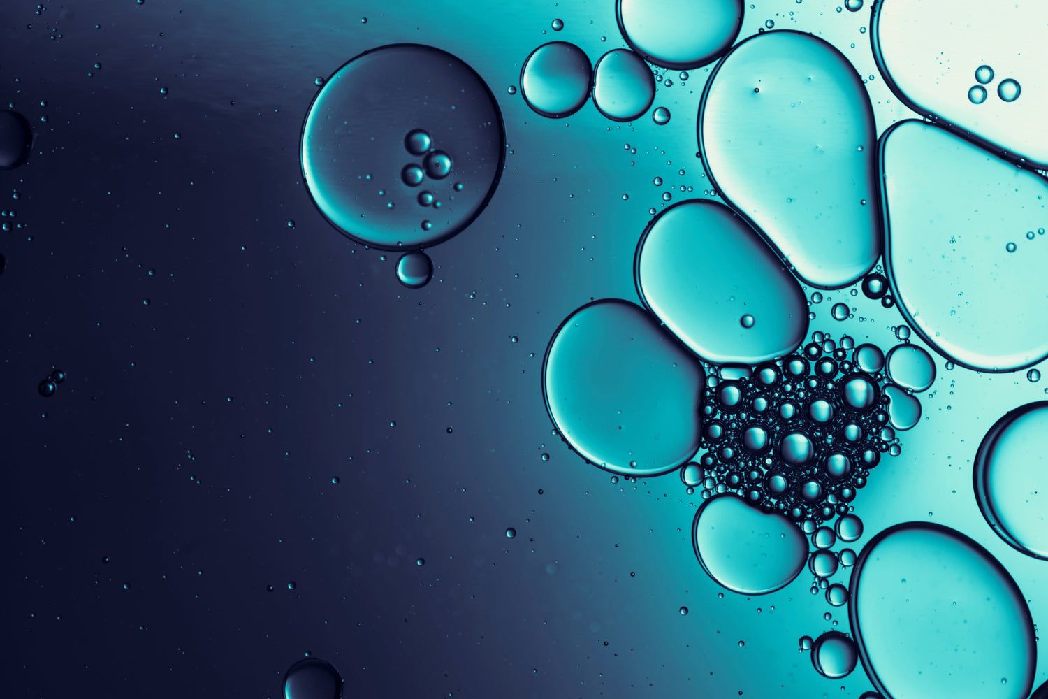 1500x1000 This Oil Change Could Add Years to Your Life—The Fascinating Science