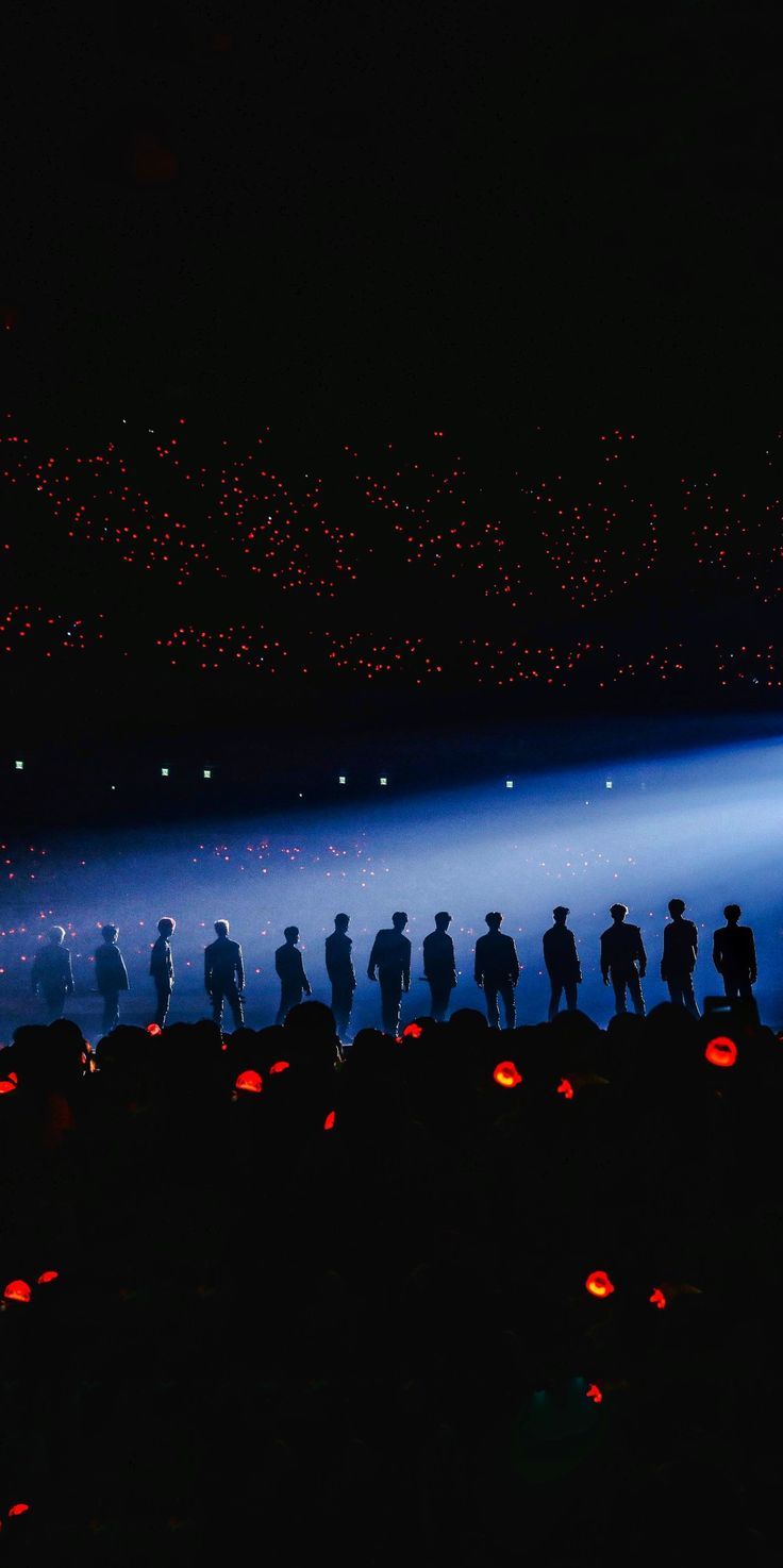 736x1474 Seventeen Concert Wallpaper
