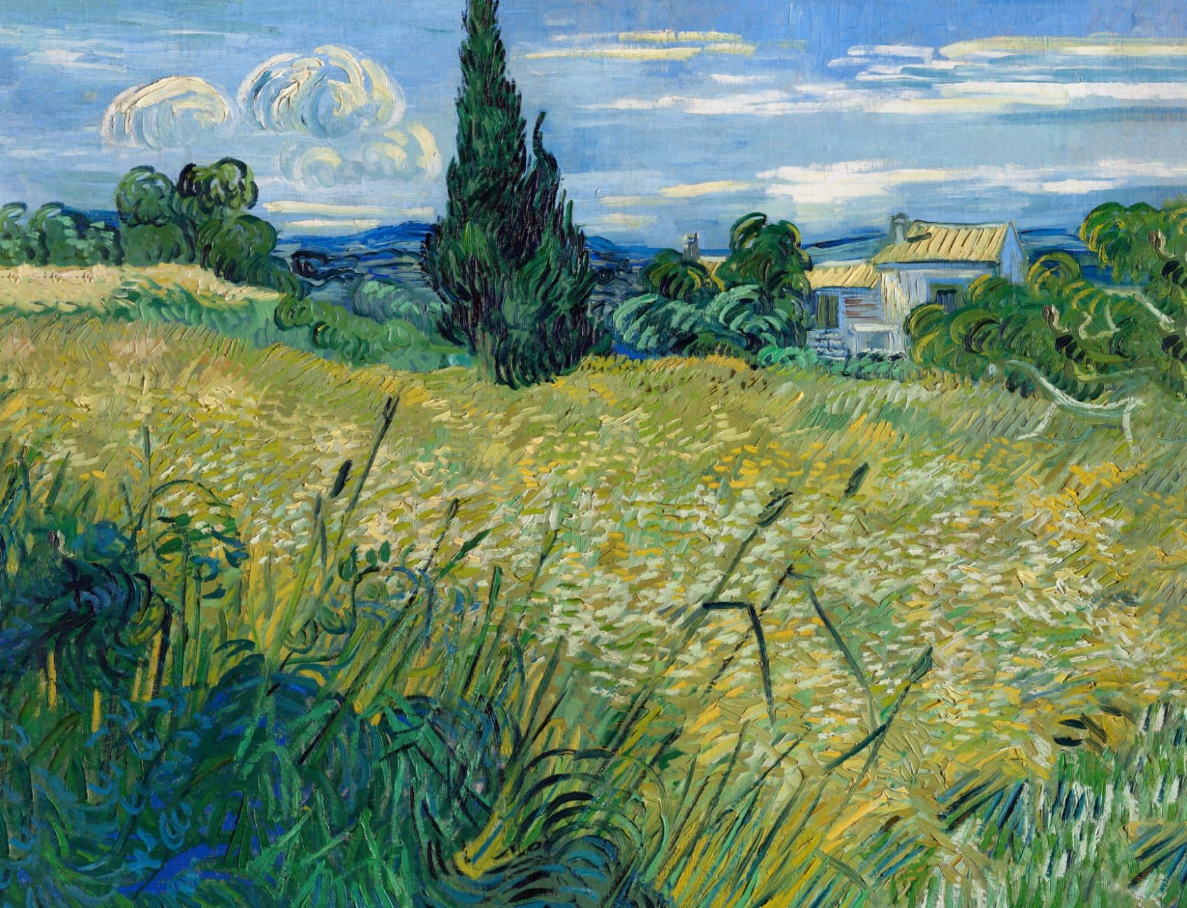 1700x1300 Wheat Field