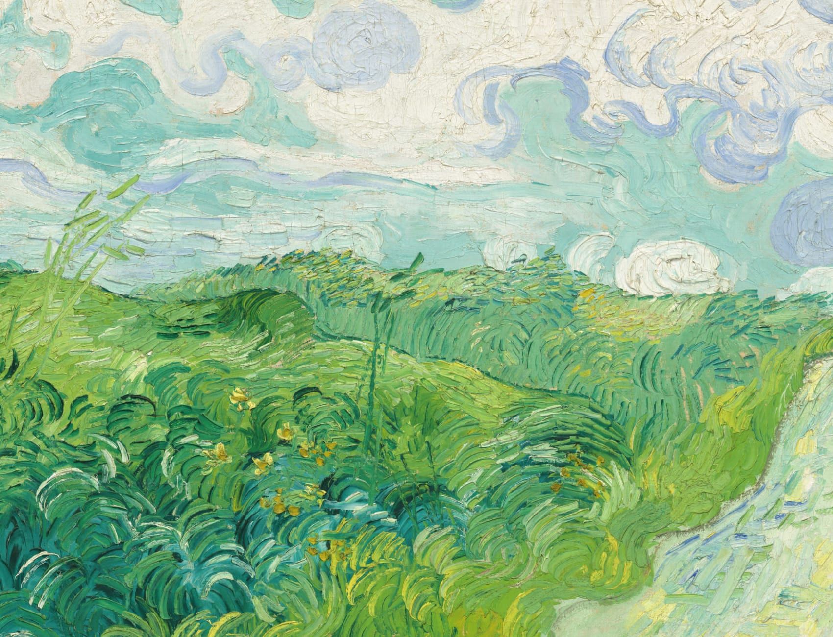 1700x1300 Green Wheat Fields