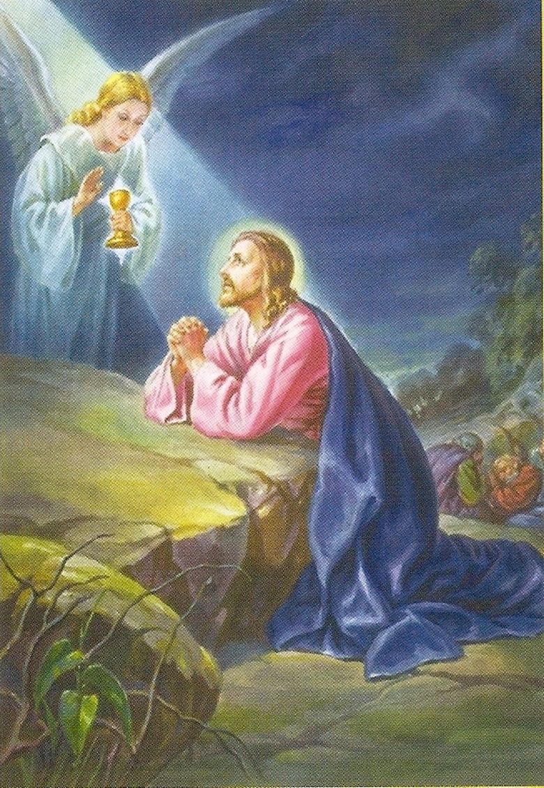 780x1129 Jesus Praying Wallpaper