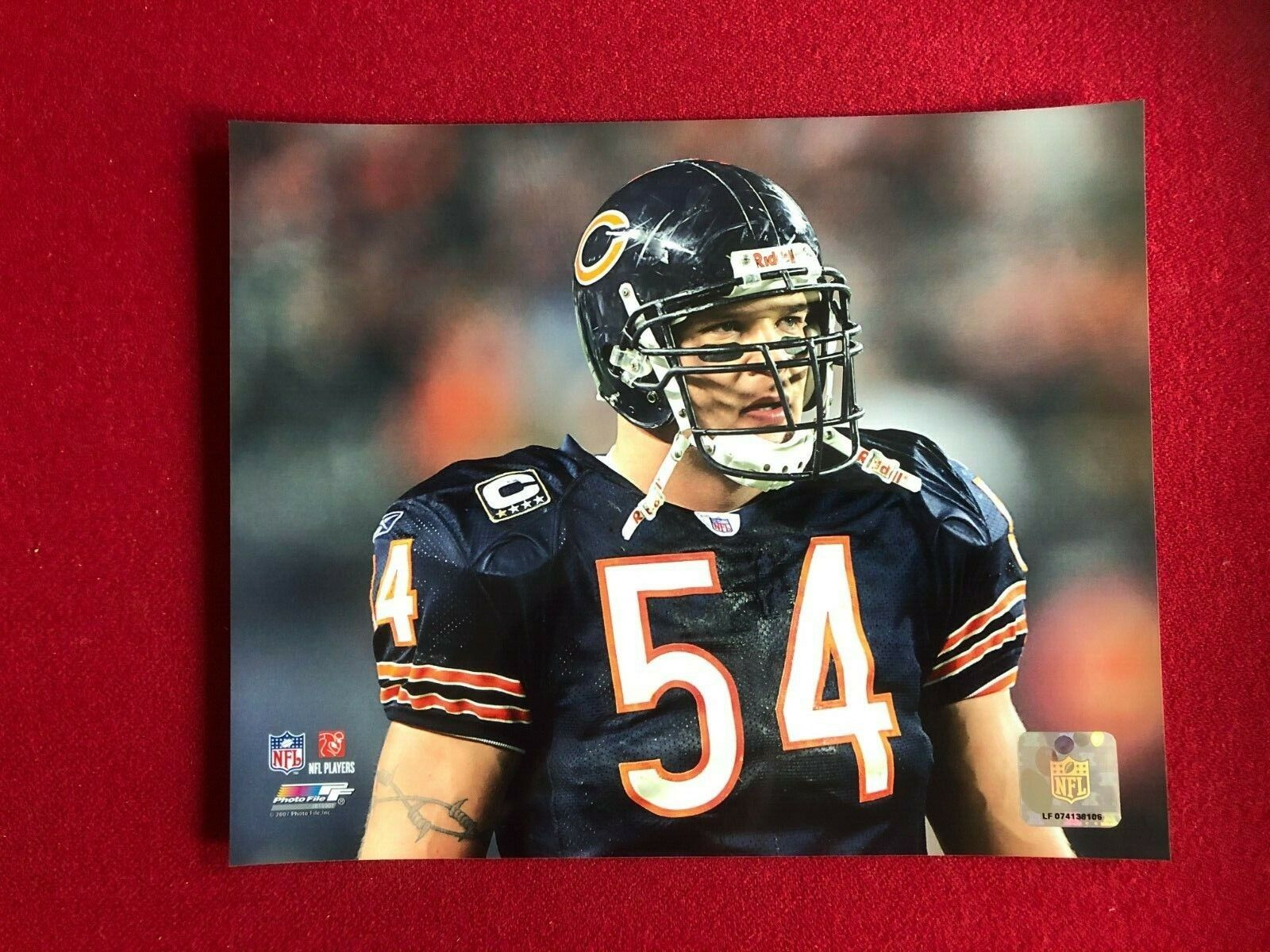 1600x1200 Brian Urlacher (Bears), Licensed, Photo File 8 x 10 Color Photo (Vintage)