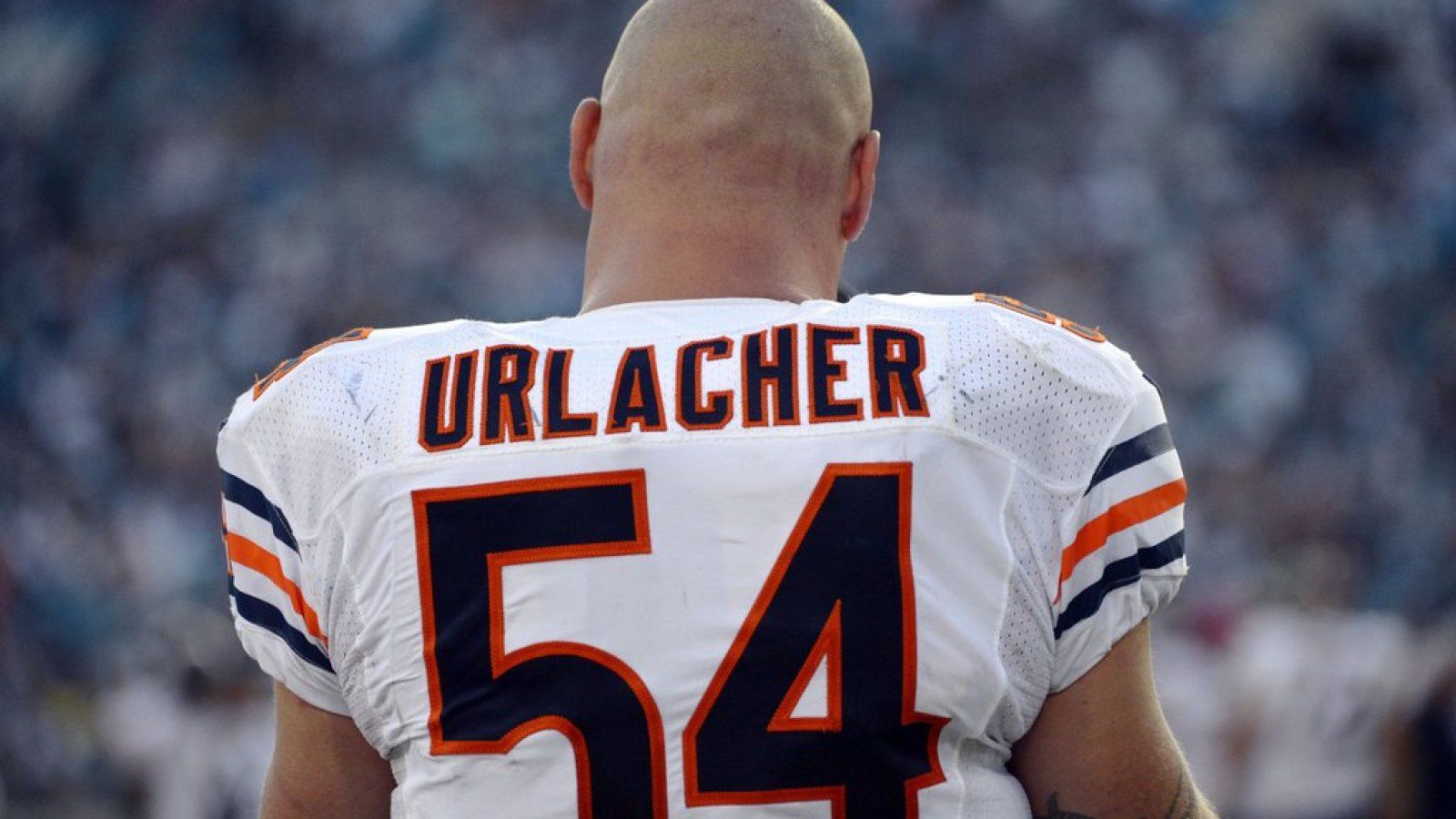 1600x900 Brian Urlacher: No athlete since Michael Jordan symbolized Chicago more