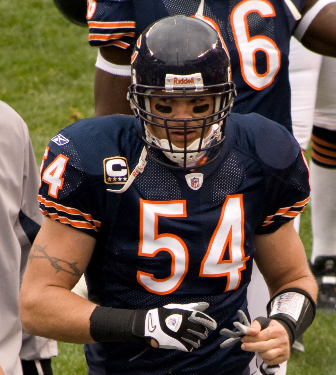 1416x1580 Brian Urlacher Cards: Values, Rookies