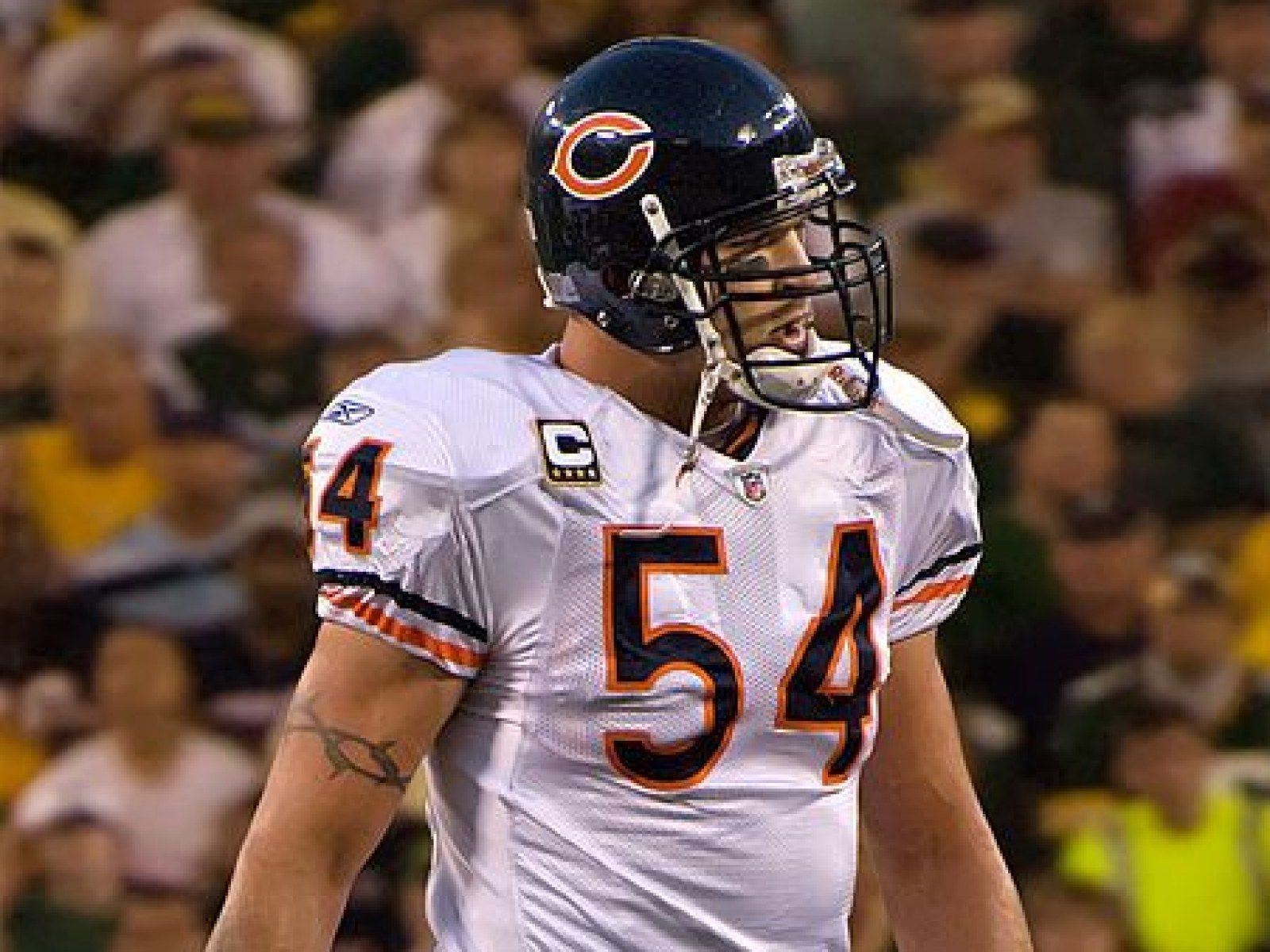 1600x1200 Brian Urlacher Retires: Former Chicago Bears Linebacker Retiring From NFL After 13 Seasons