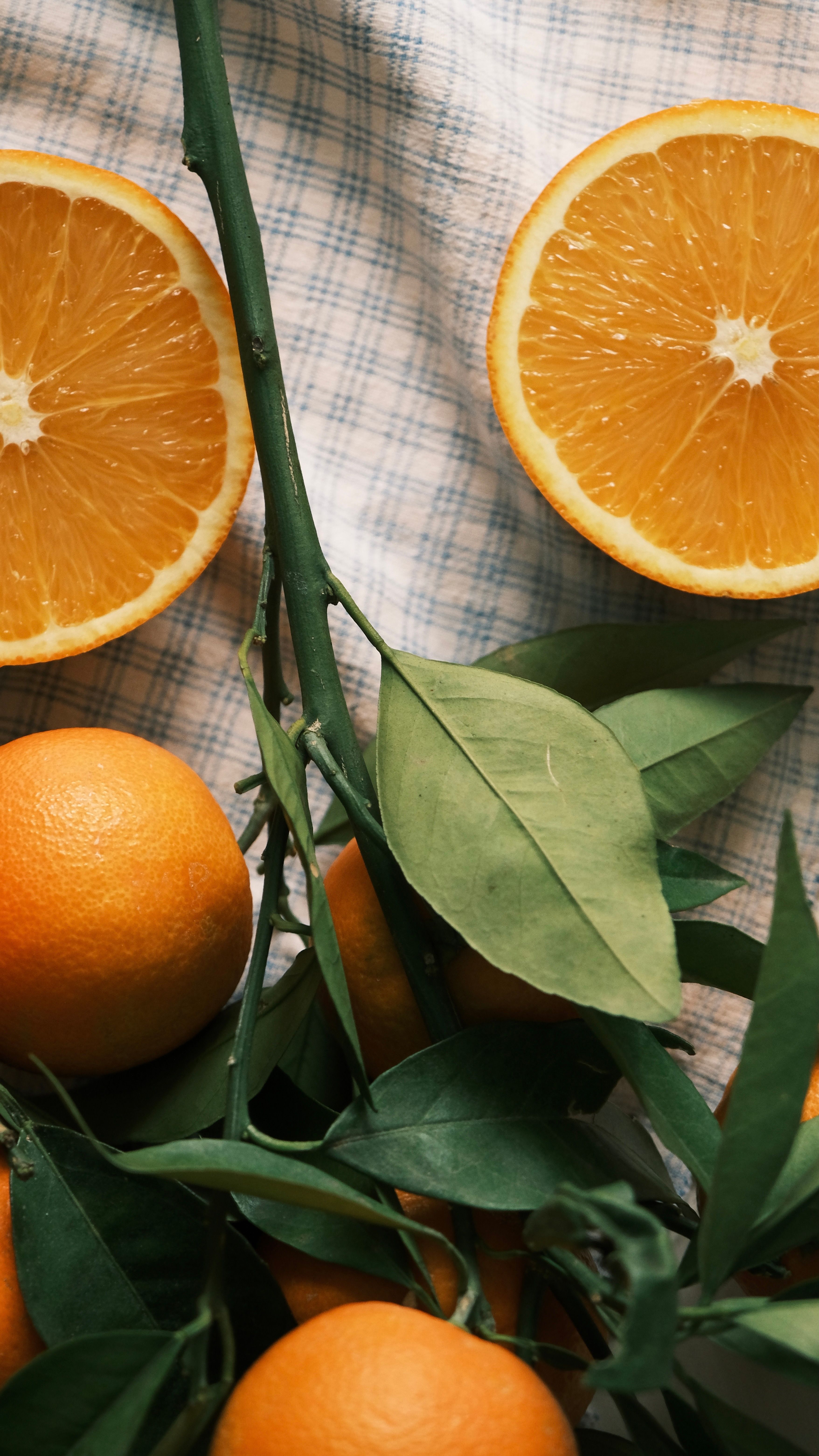 3512x6240 Orange Pattern Photo, Download The BEST Free Orange Pattern & HD Image
