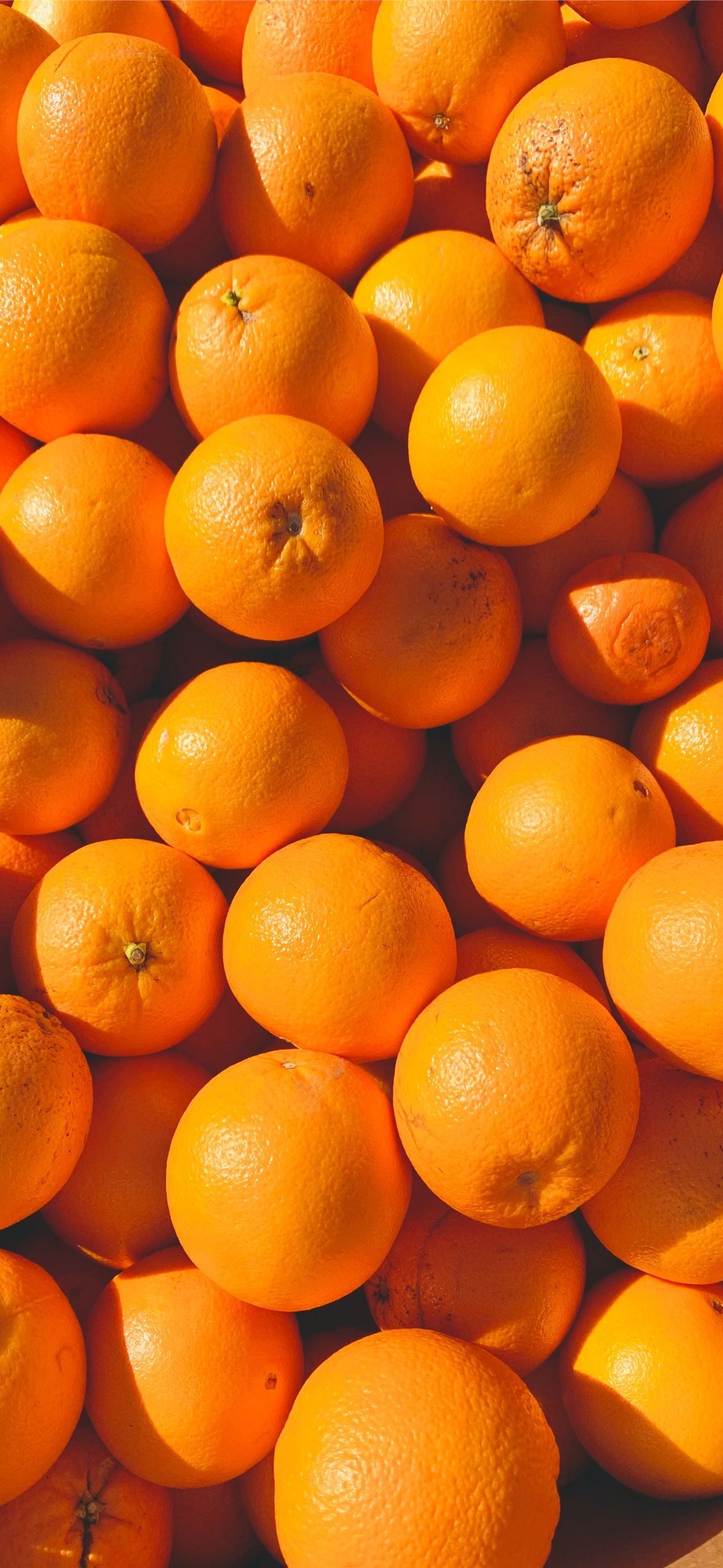 1290x2796 orange fruits on white ceramic plate iPhone Wallpaper Free Download