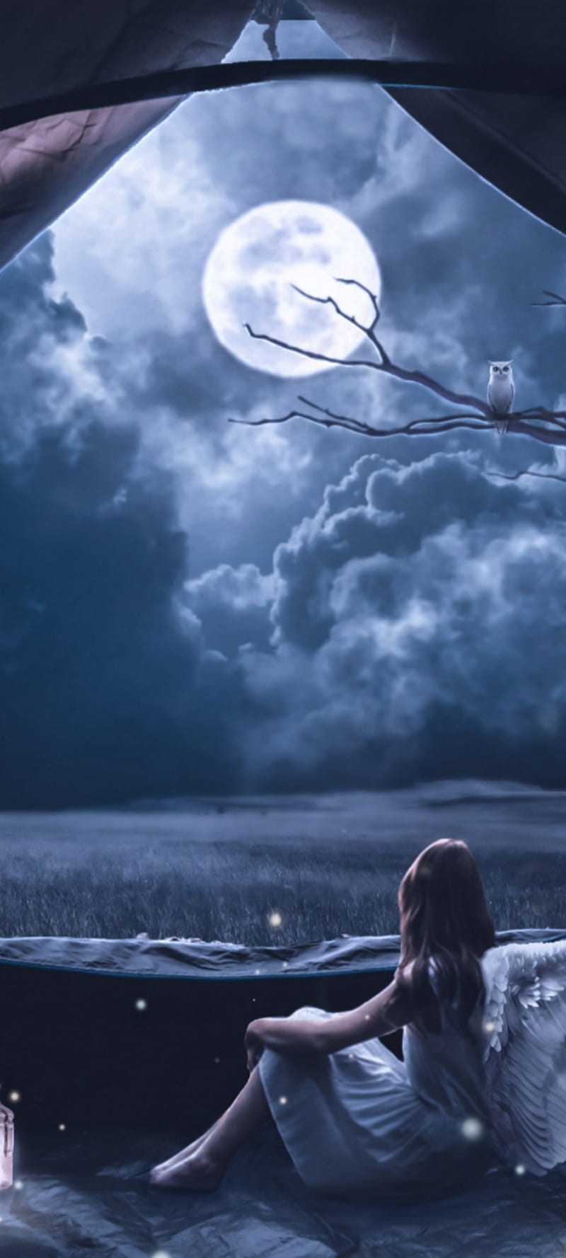 800x1778 Heaven, tent, moon, fireflies, moonshine, darksoul arts, angel, HD phone wallpaper