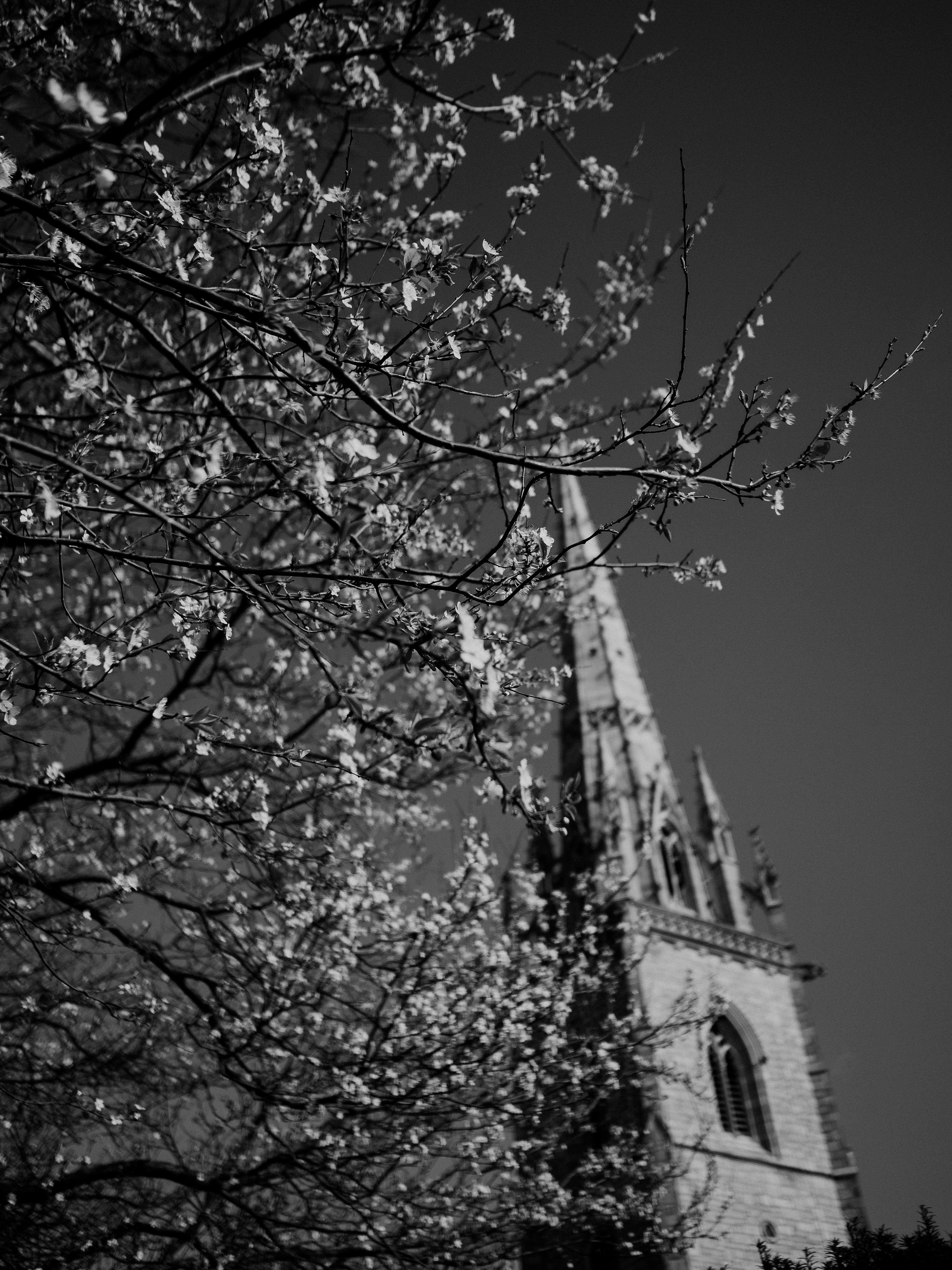 3888x5184 Church Black&White Photo, Download The BEST Free Church Black&White & HD Image
