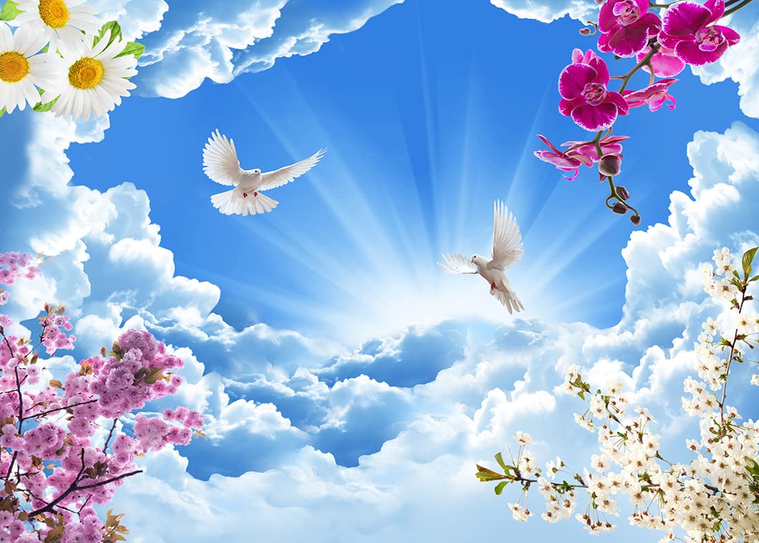 1100x786 Amazon.com : BELECO 7x5ft Fabric Peace Dove Backdrop Holy Spirit Bird Jesus Christ Backdrop Blue Sky White Clouds Heaven Bright Lights Love and Peace Spring Flowers Background Church Decor Christian Photo Props
