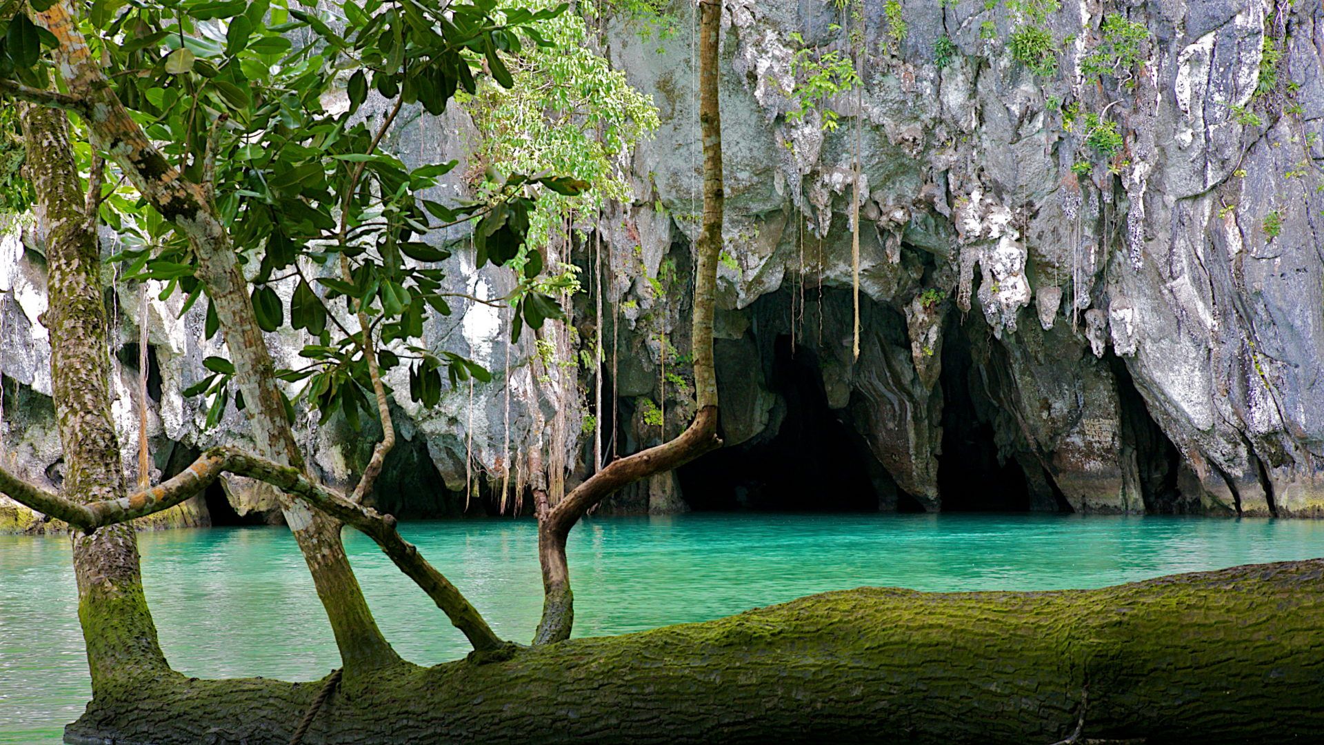 1920x1080 PP Underground River. New7Wonders of Nature
