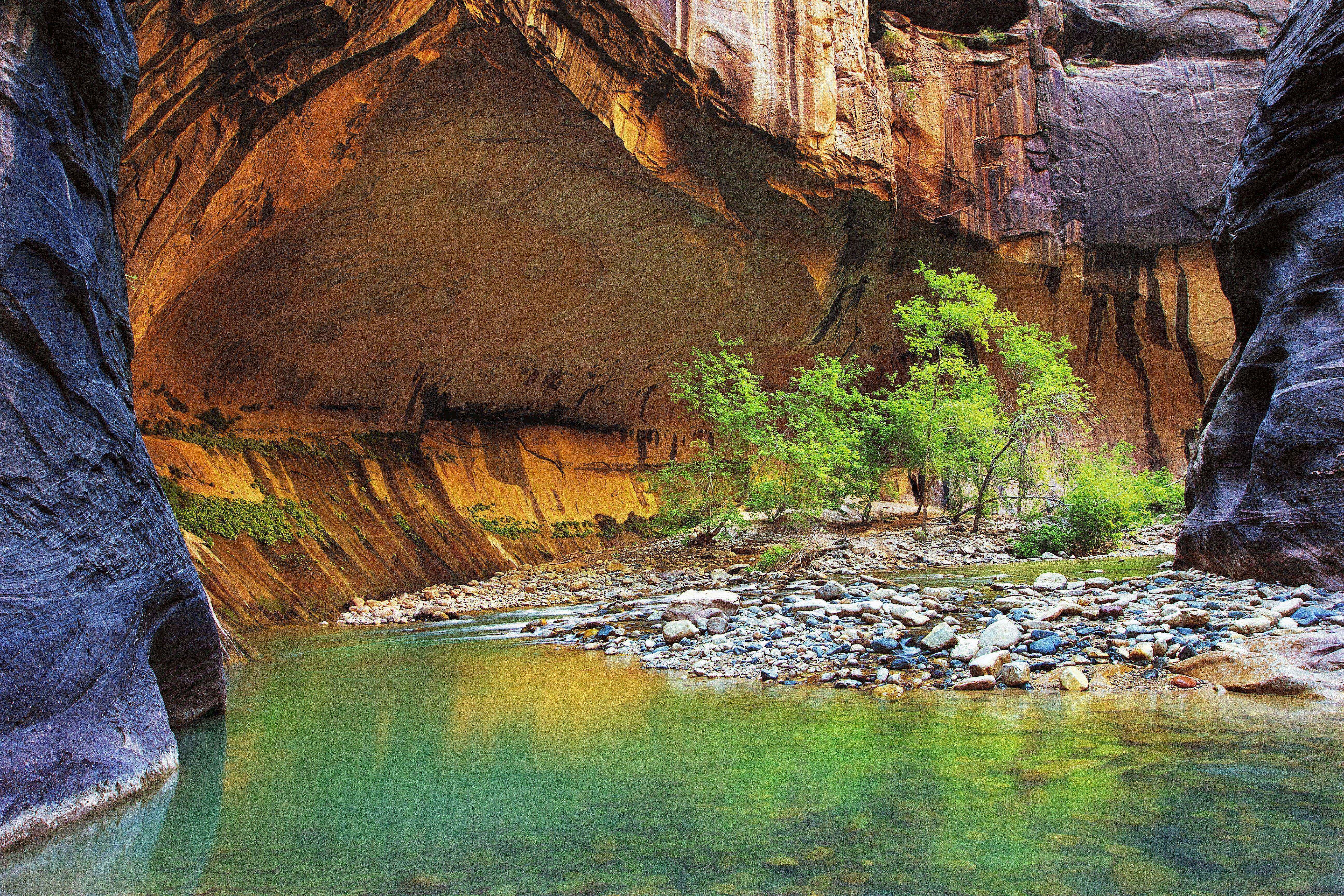 5184x3456 zion, Narrows, Rock, River, Trees, Landscape Wallpaper HD / Desktop and Mobile Background