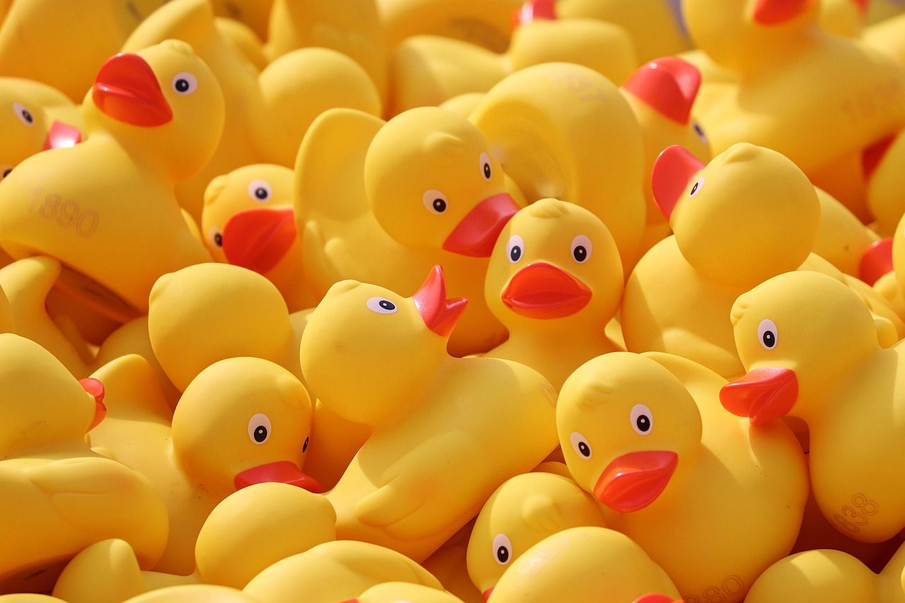 1280x853 Free Rubber Ducks & Duck Image