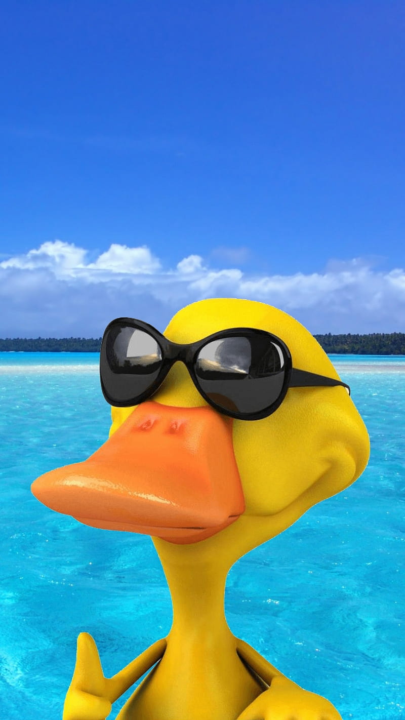 800x1422 Rubber ducky, beach, yellow, HD phone wallpaper
