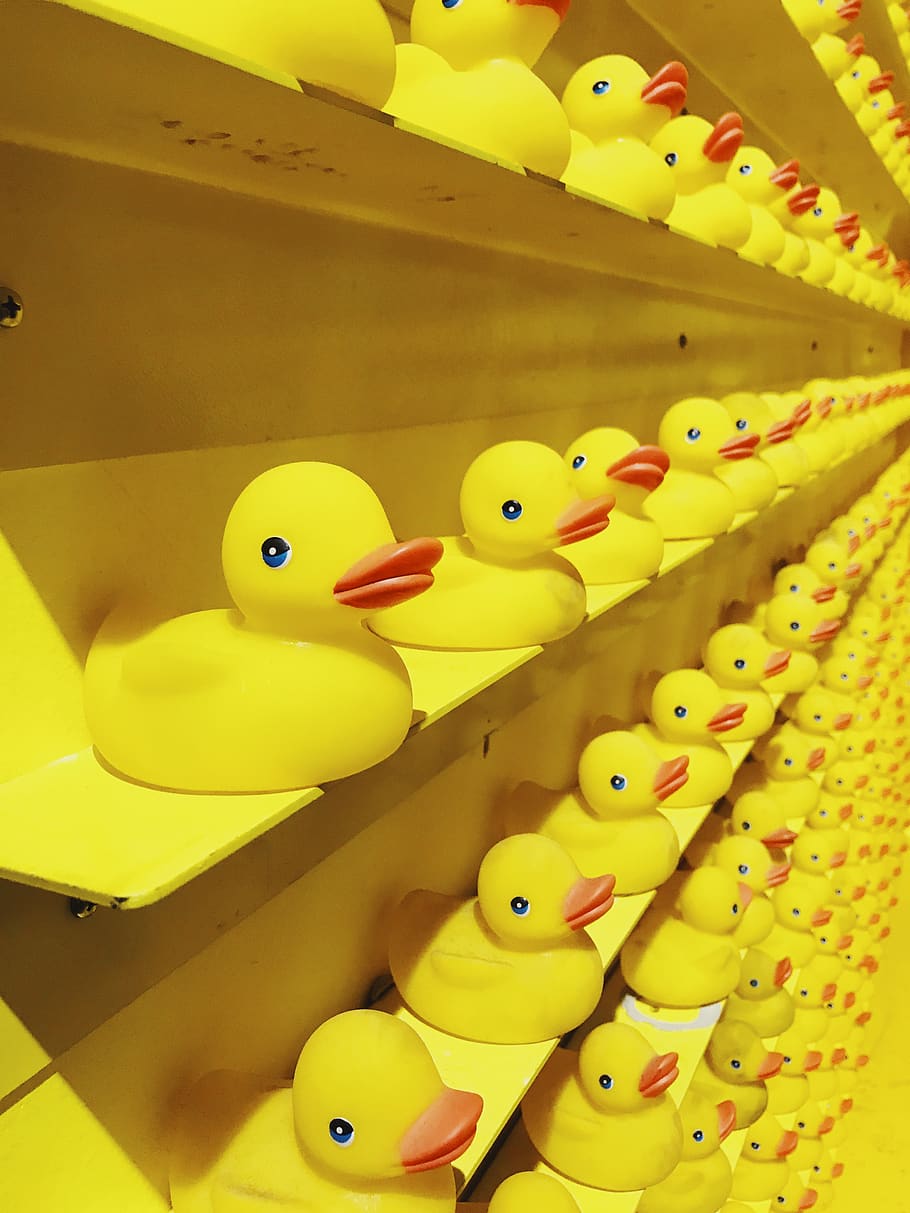 910x1213 Rubber duckies 1080P, 2K, 4K, 5K HD wallpaper free download