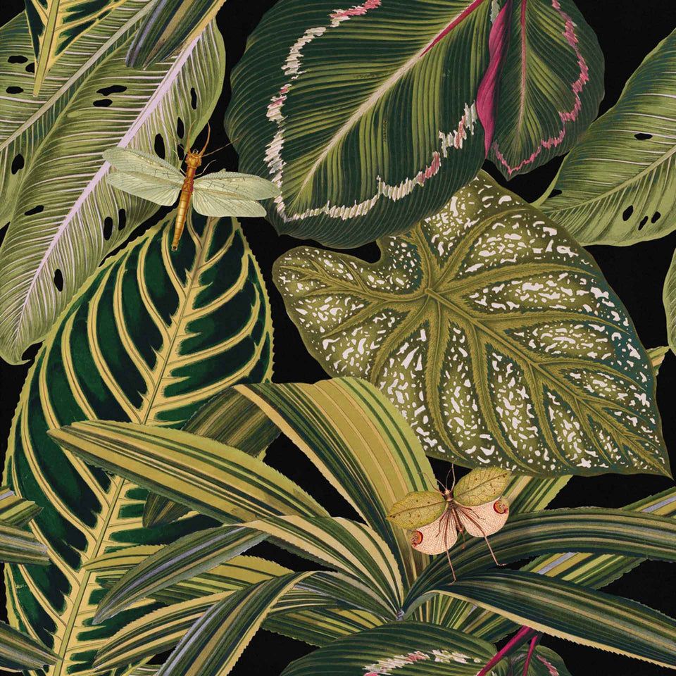 960x960 Tropical Vibes Collection