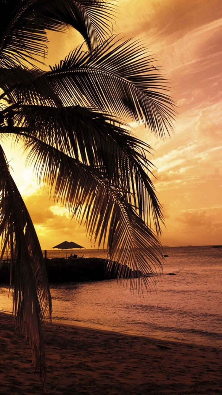 750x1334 Download Enhance Your Apple Device with a Tropical Vibe Wallpaper