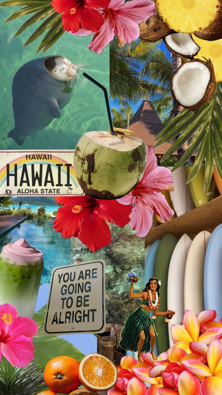 736x1308 Get Inspired for the Upcoming Summer with Tropical Vibes. Tropical vibes wallpaper, Tropical oasis aesthetic