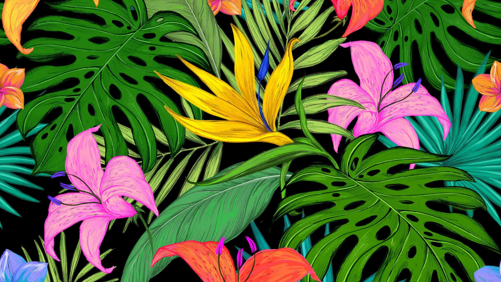 1920x1080 Aesthetic Tropical Wallpaper