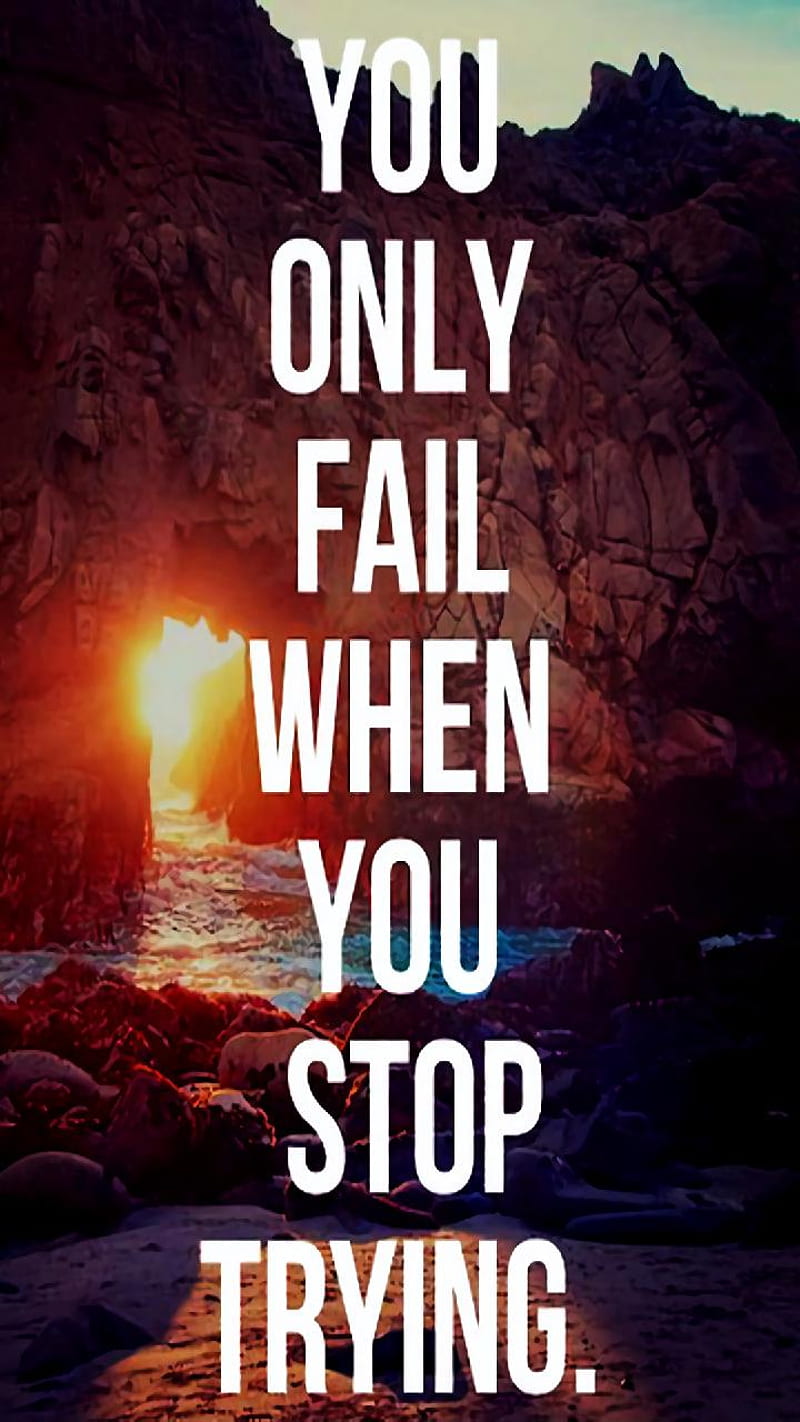800x1422 Wisdom, quotes, theme, HD phone wallpaper