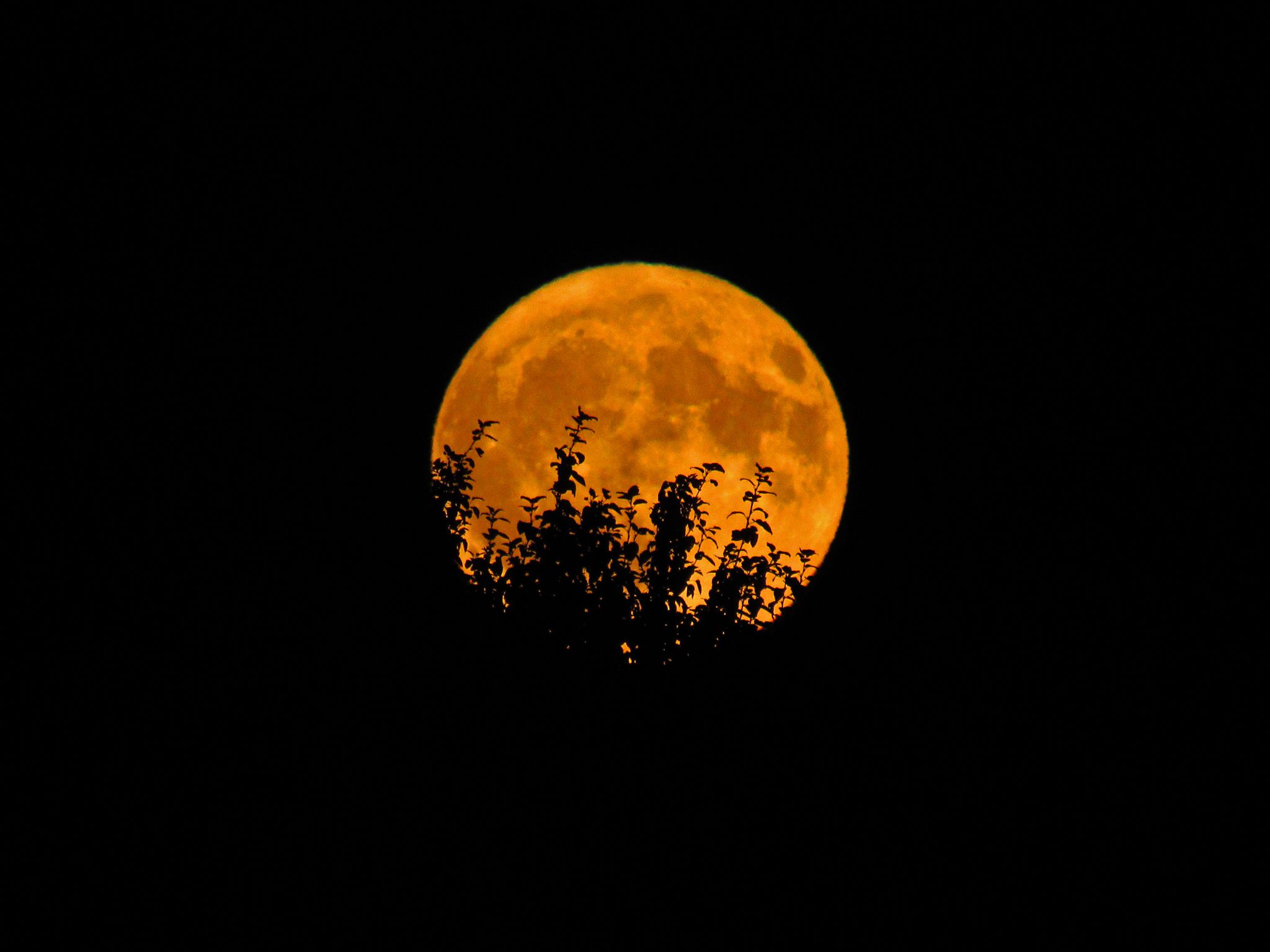 2048x1536 Orange Moon Royalty Free