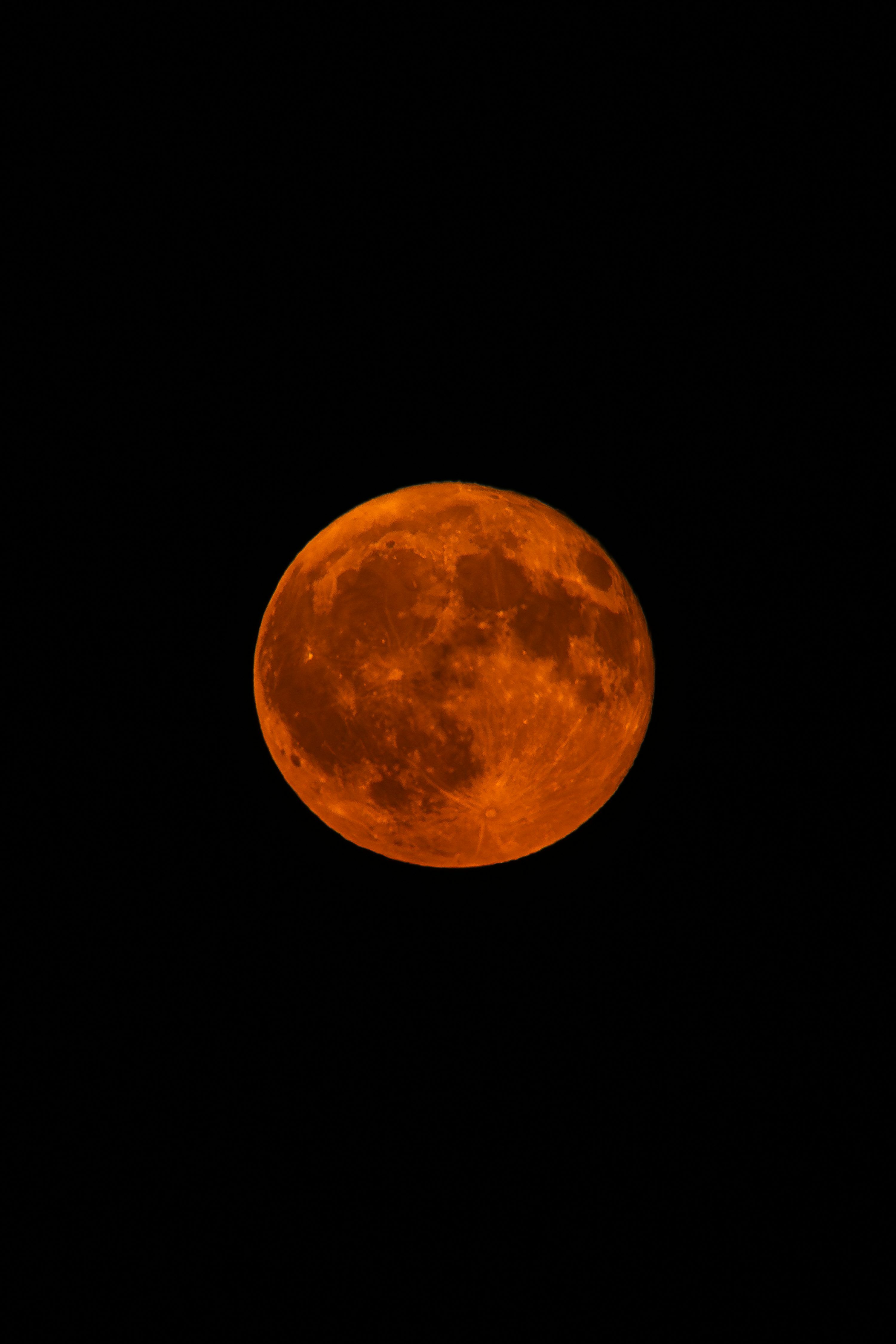 3000x4498 A full orange moon against a black sky. photo