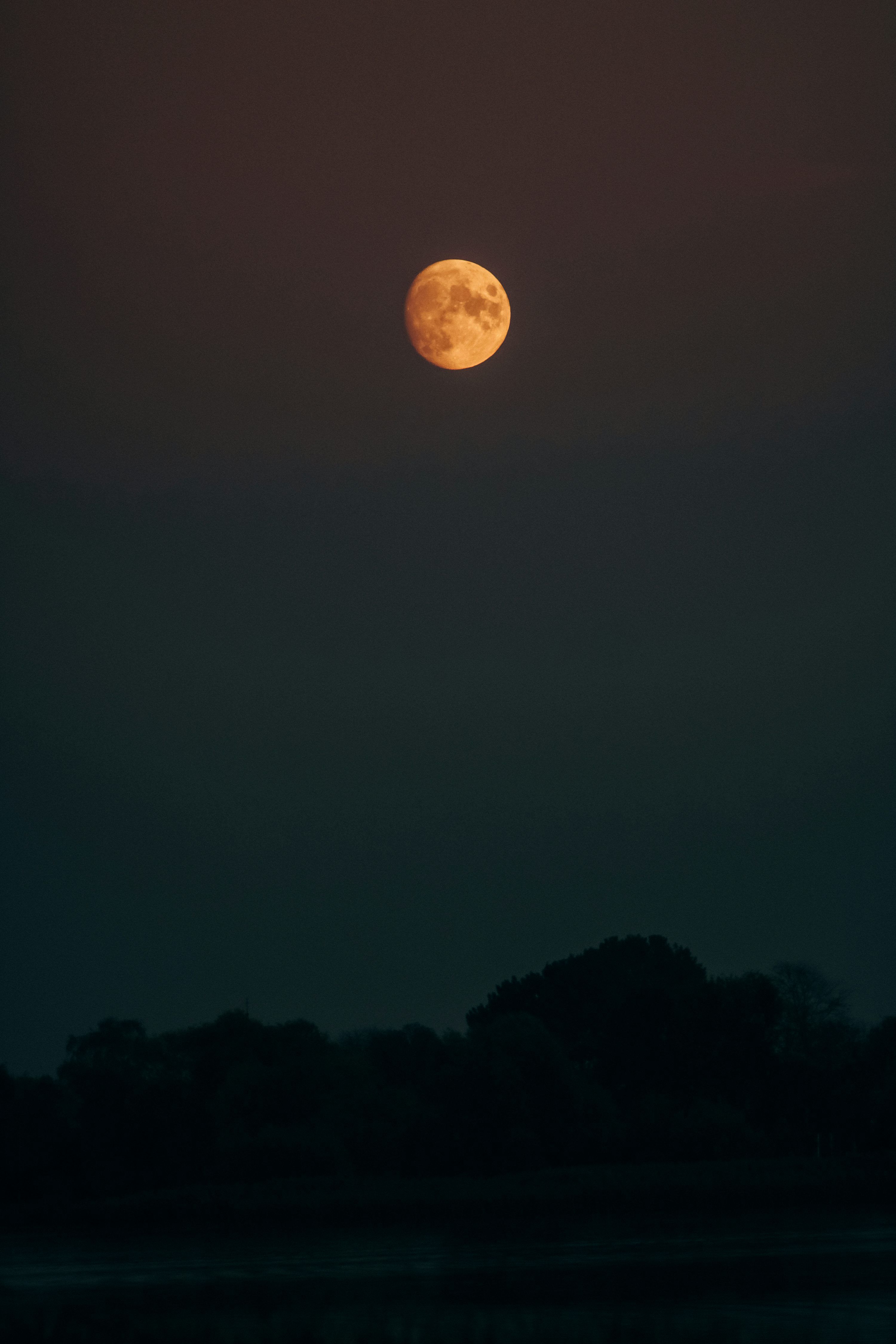 3000x4500 A large, orange moon shines in the night sky. photo