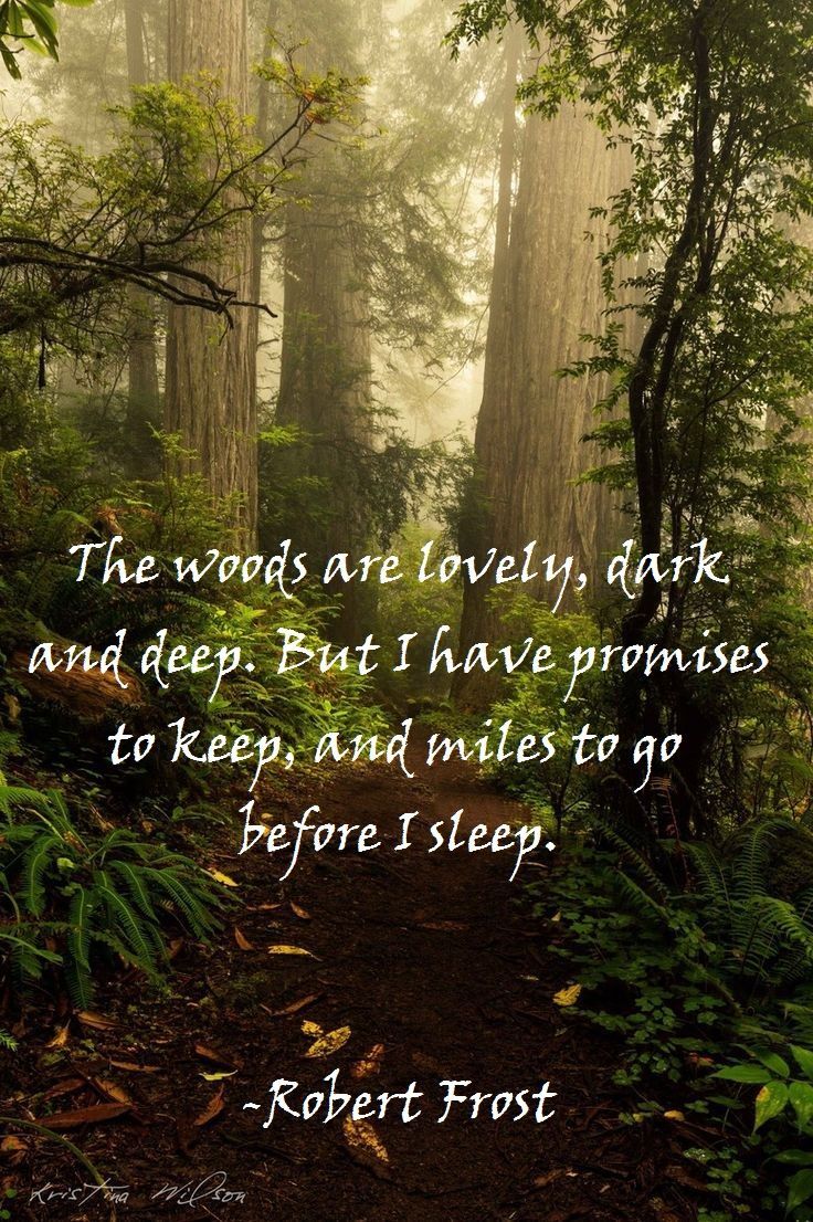 736x1106 Miles to Go Before I Sleep ideas. miles to go, before i sleep, robert frost the woods are lovely