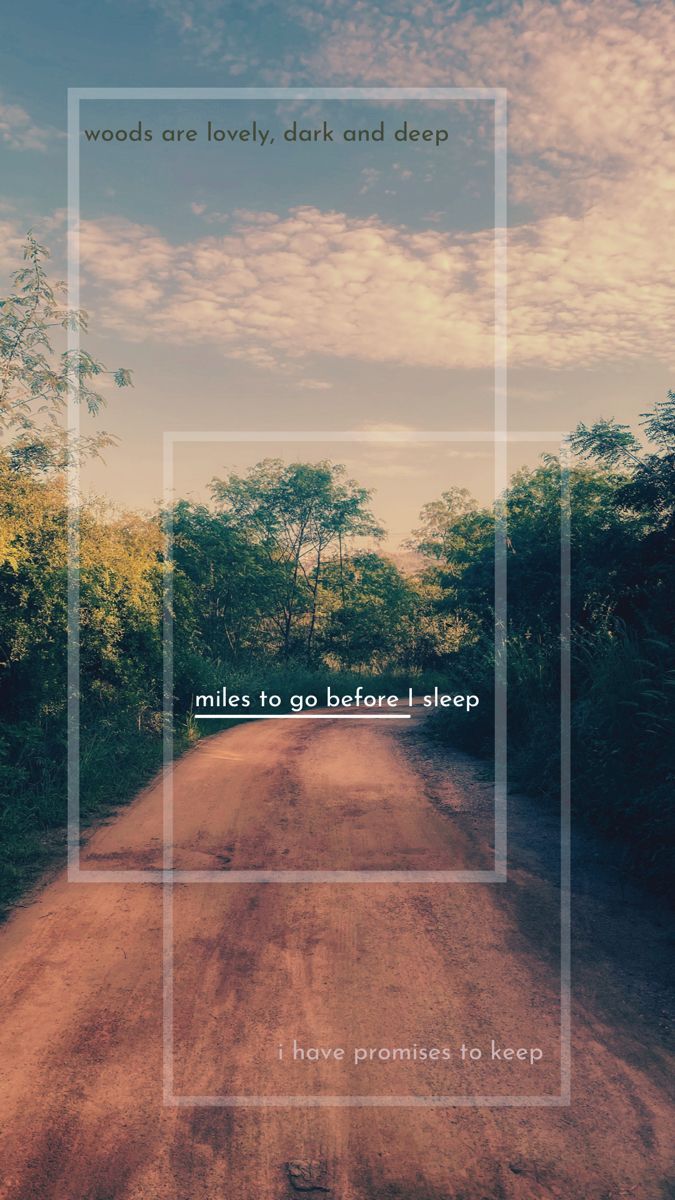675x1200 Wallpaper woods and poems