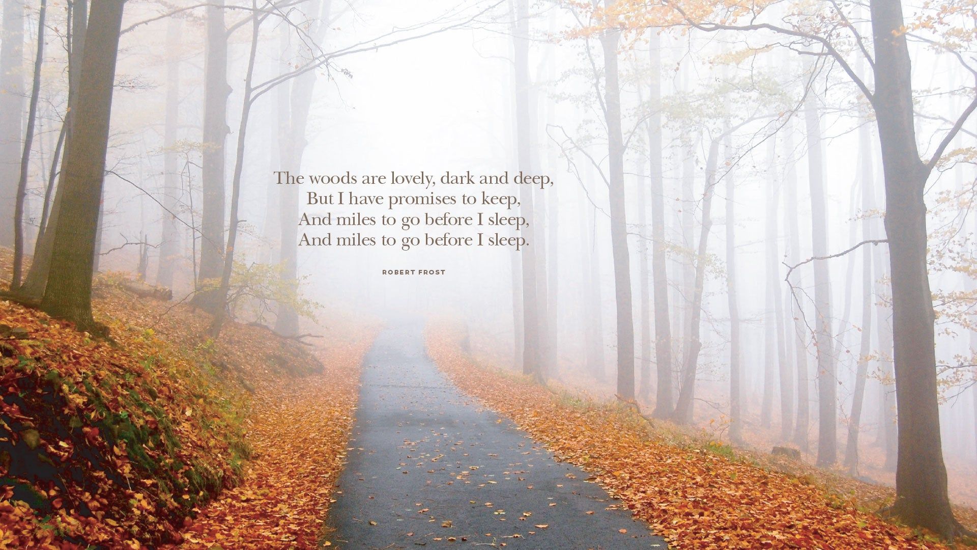 1920x1080 The Woods are Lovely, Dark and Deep