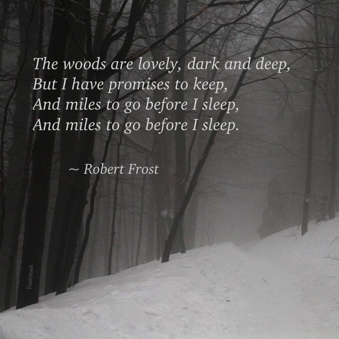 1080x1080 The woods are lovely, dark and deep, but I have promises to keep, and miles to go before I sleep. Frost [ 4000 x 4000 ]