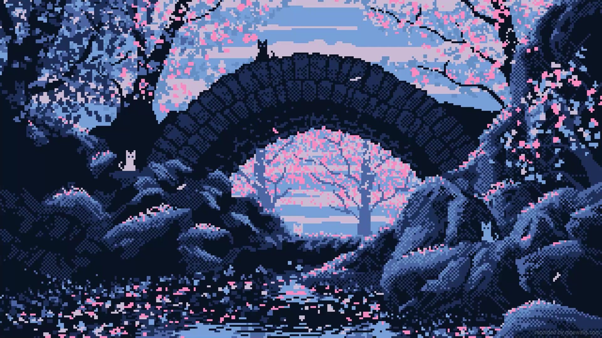 1920x1080 Black Cat Sakura Bridge Pixel Live Wallpaper