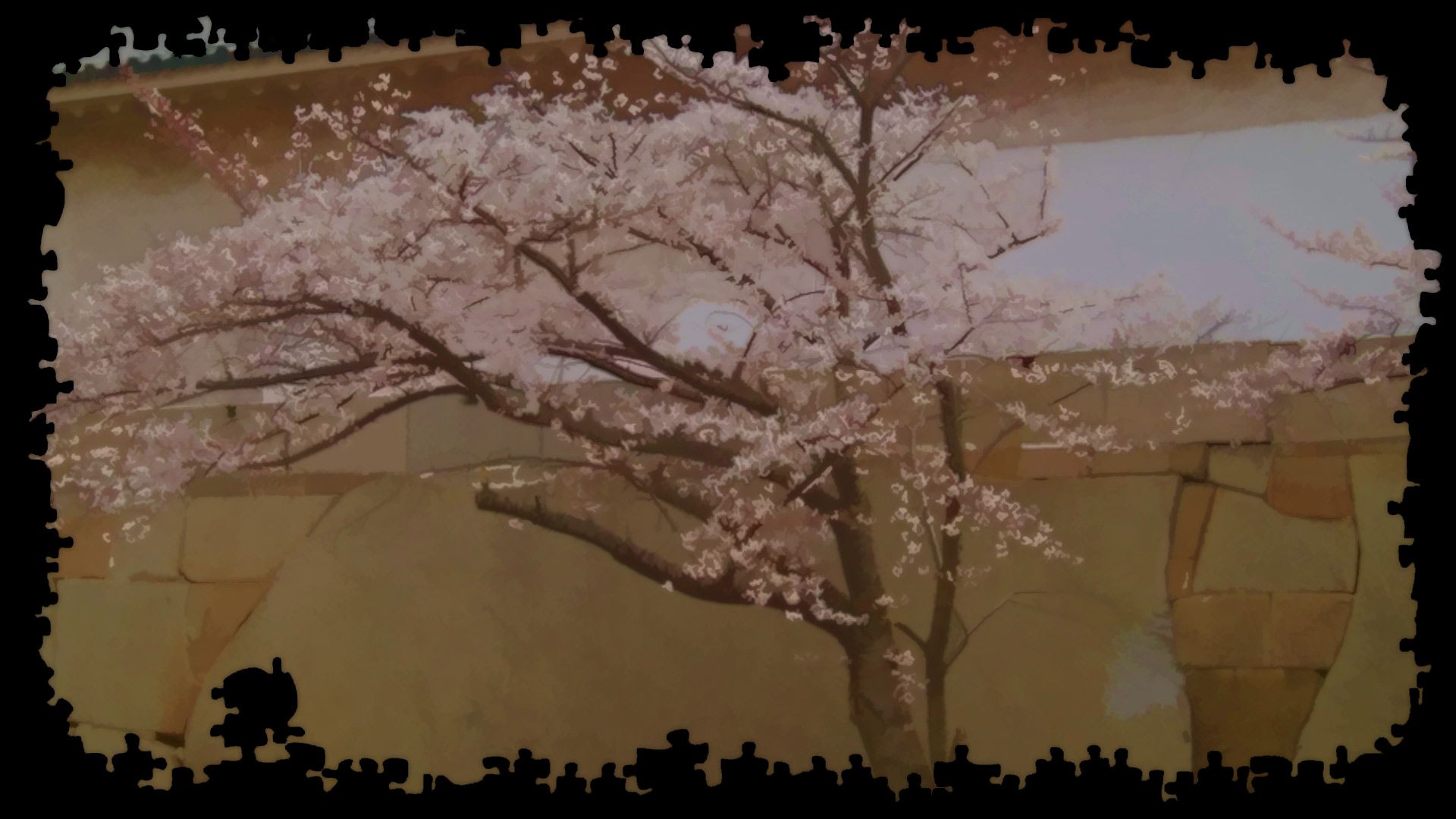 1920x1080 Background.Gallery. Background Puzzles: Japan Rare Blossom In Osaka Castle