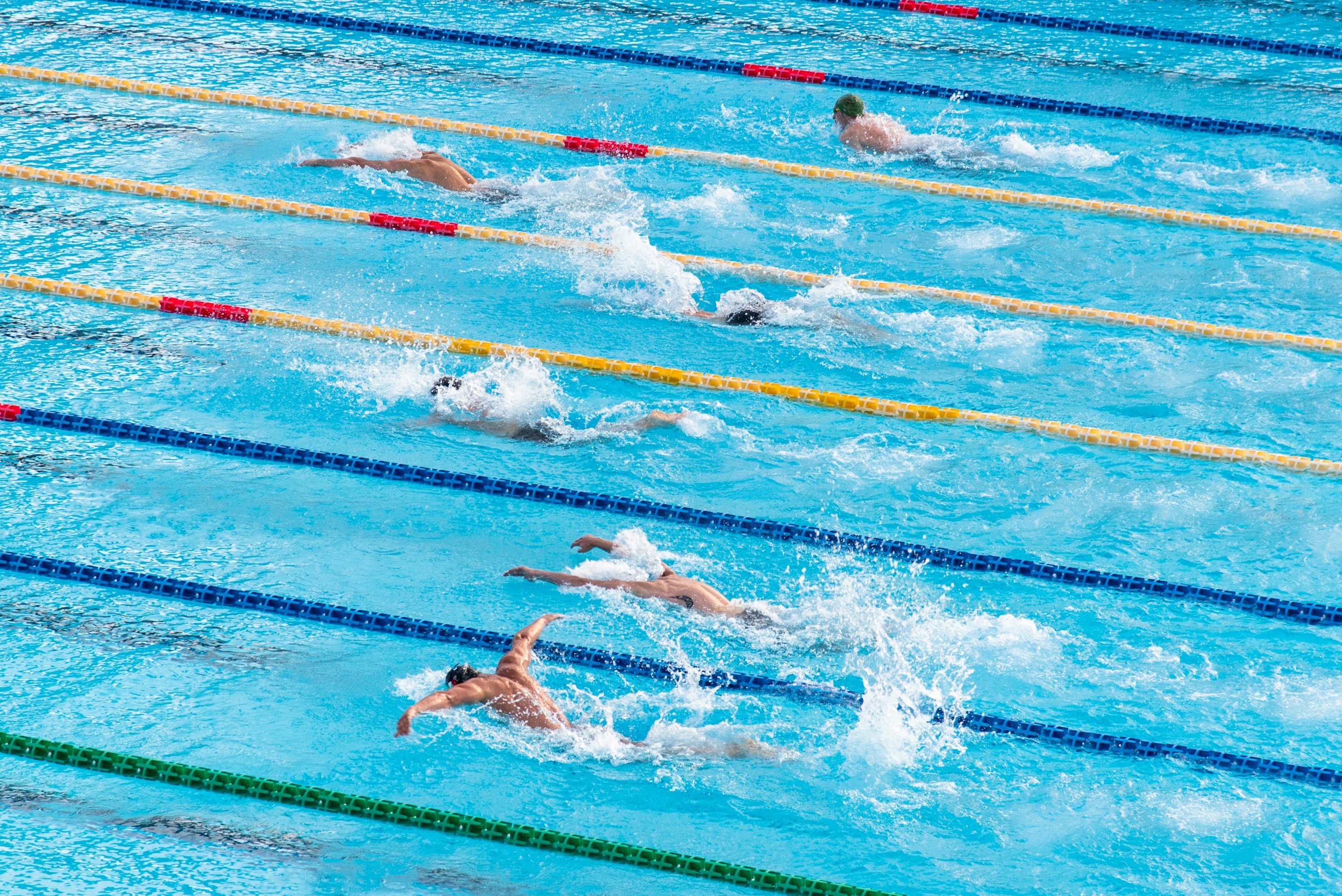3000x2003 Swim Team Picture. Download Free Image