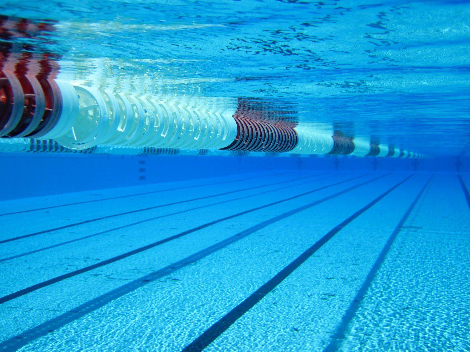 1600x1200 McDowell Sweeps District 10 Class 3A Team Swimming Titles and 10 Sports